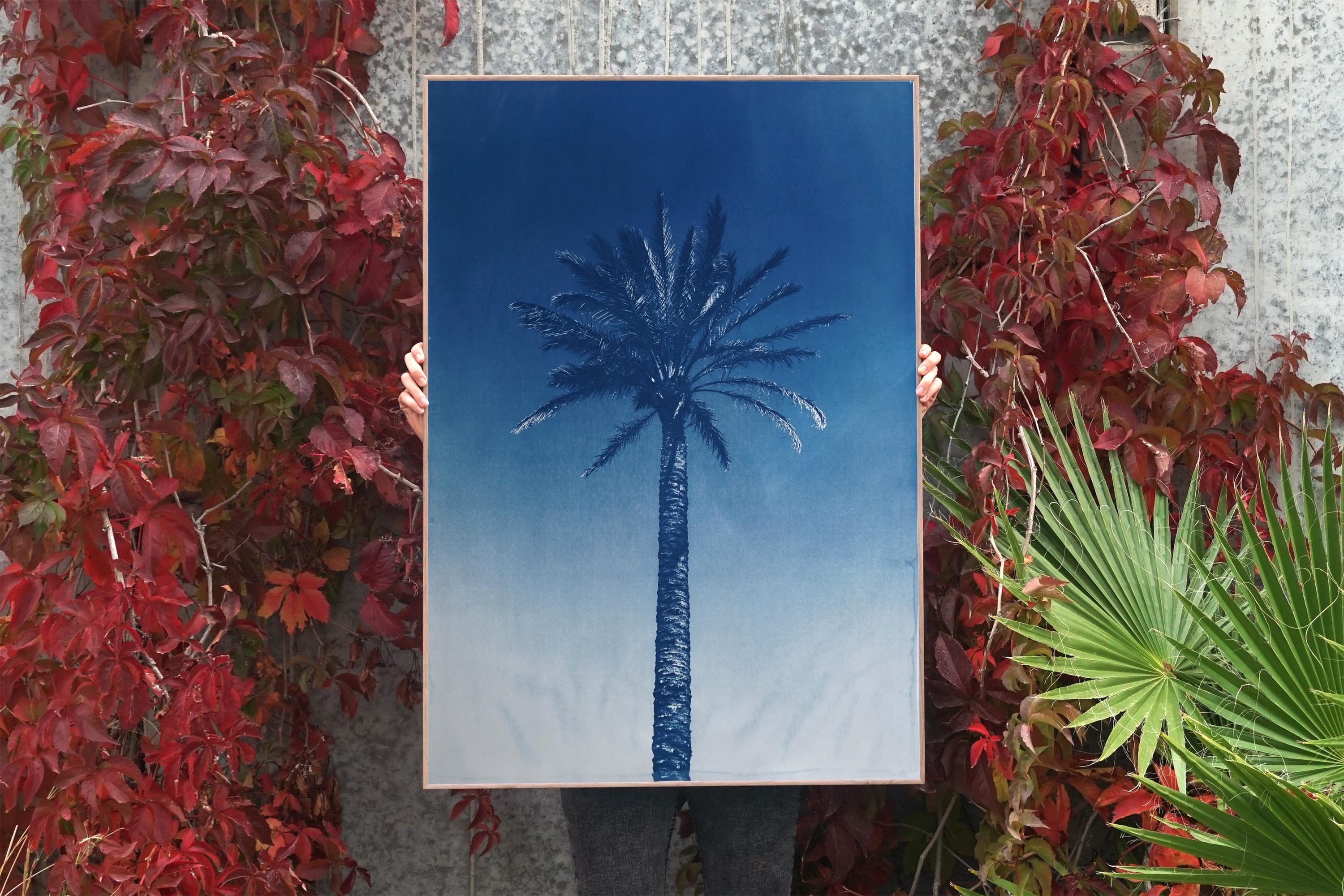 Palme de la rivière Nile, cyanotype botanique sur papier aquarelle, palmier du désert, tropical - Art de Kind of Cyan