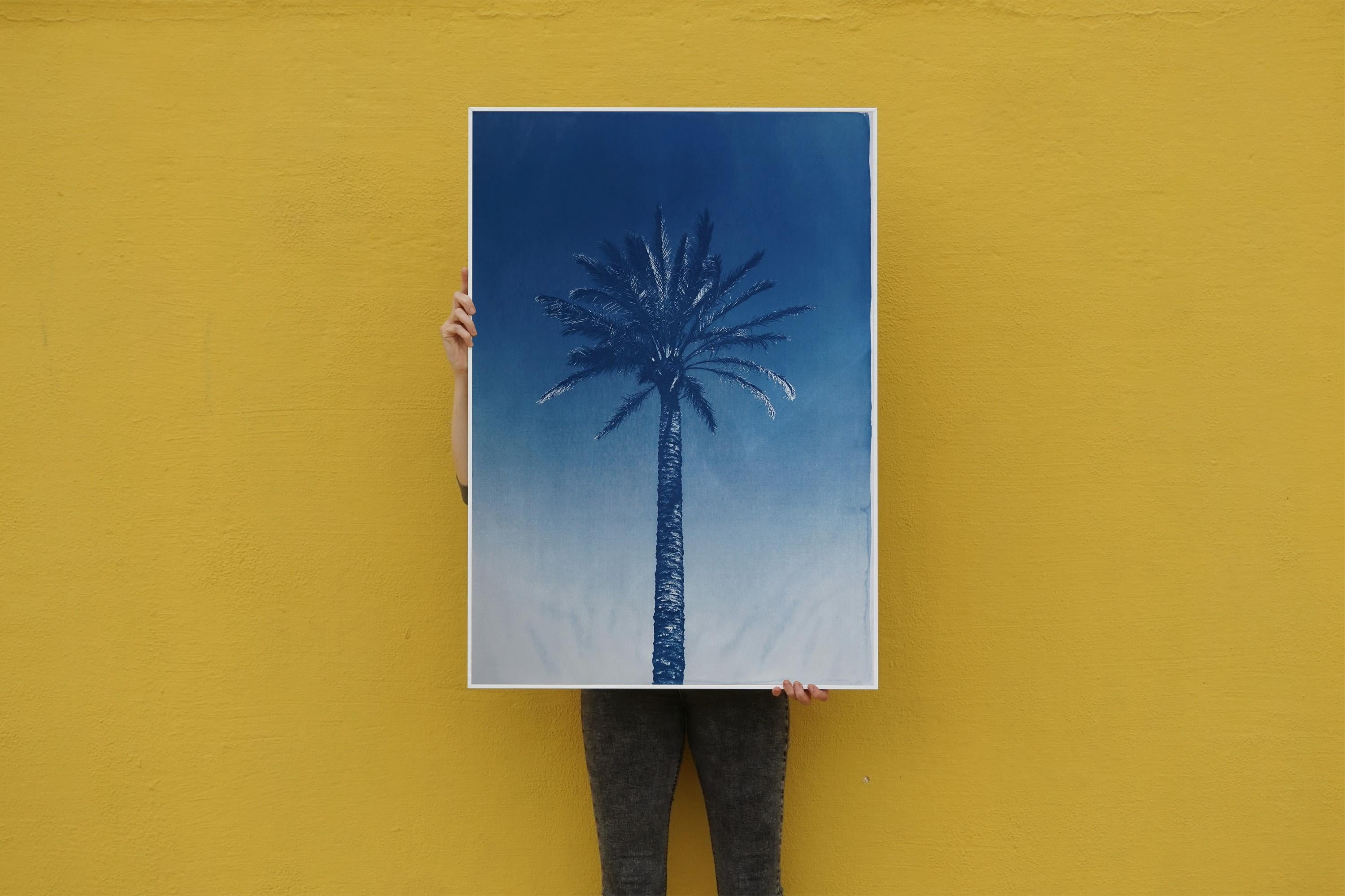 Palme de la rivière Nile, cyanotype botanique sur papier aquarelle, palmier du désert, tropical - Réalisme Art par Kind of Cyan