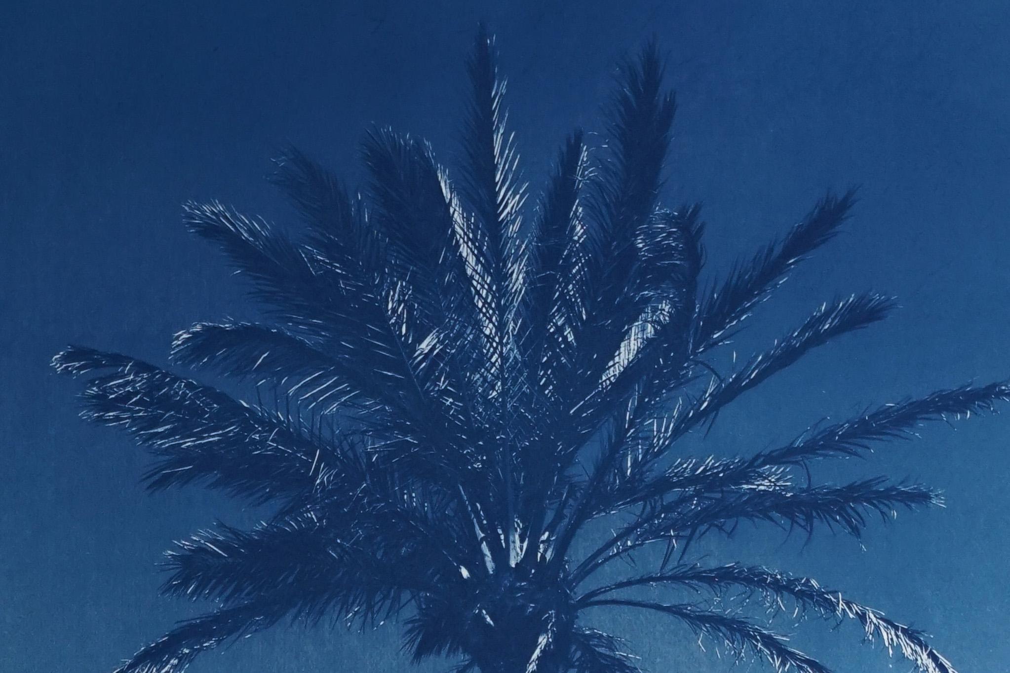 Palme de la rivière Nile, cyanotype botanique sur papier aquarelle, palmier du désert, tropical - Bleu Landscape Art par Kind of Cyan