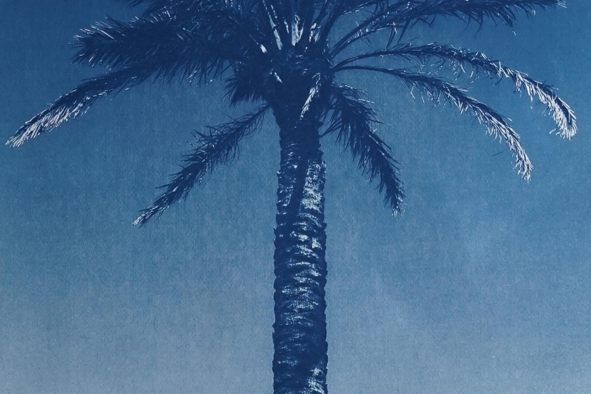 Nile River Palm, Botanical Cyanotype, Watercolor Paper, Blue Tropical Palm 2022 - Realist Art by Kind of Cyan