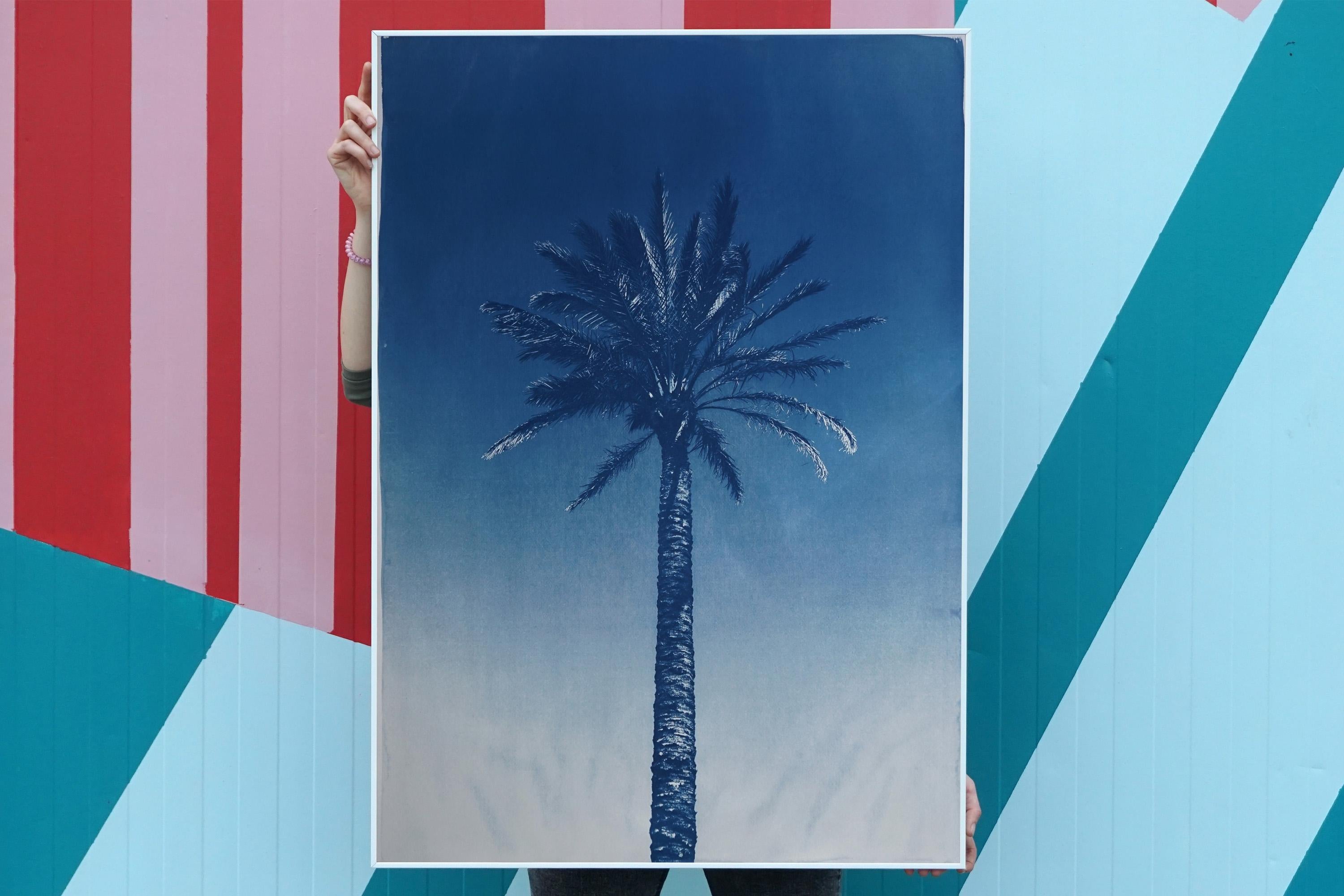This is an exclusive handprinted limited edition cyanotype.
This cyanotype shows a desert palm tree from the banks of the nile River in Egypt. 

Details:
+ Title: Nile River Palm
+ Year: 2022
+ Edition Size: 50
+ Stamped and Certificate of
