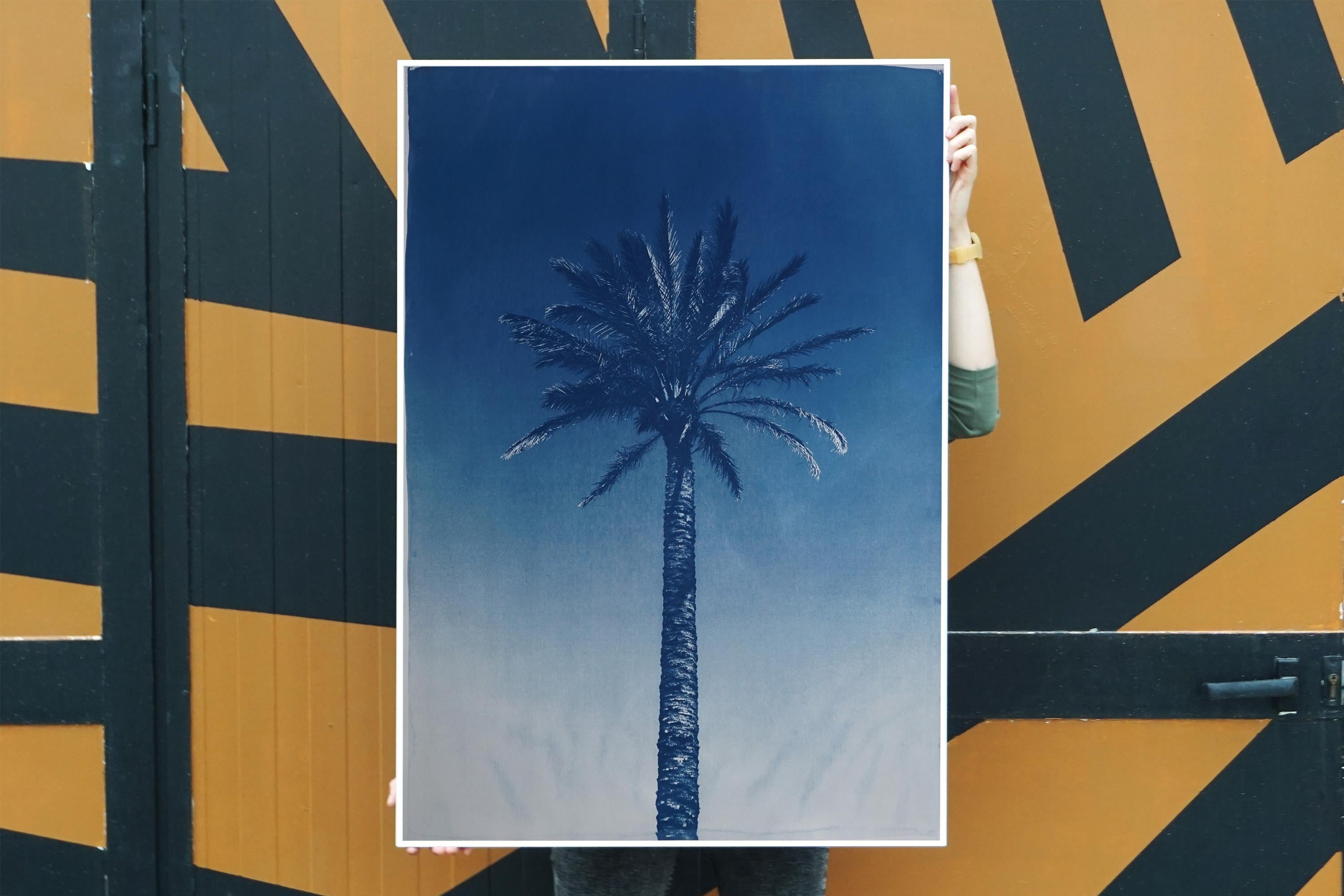 Palme de la rivière Nile, cyanotype botanique sur papier aquarelle, palmier du désert, tropical en vente 3