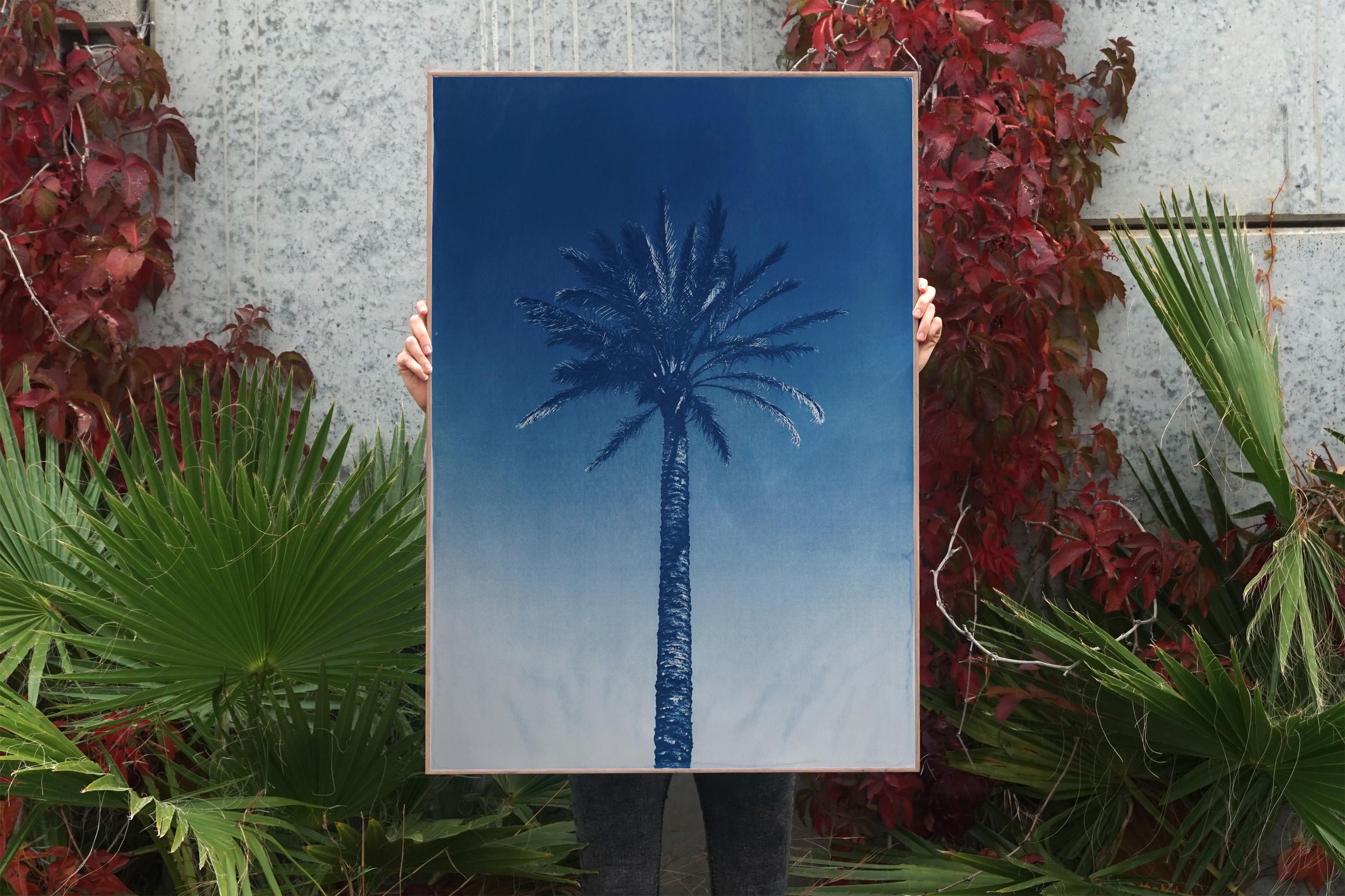 Palme de la rivière Nile, cyanotype botanique sur papier aquarelle, palmier du désert, tropical en vente 4