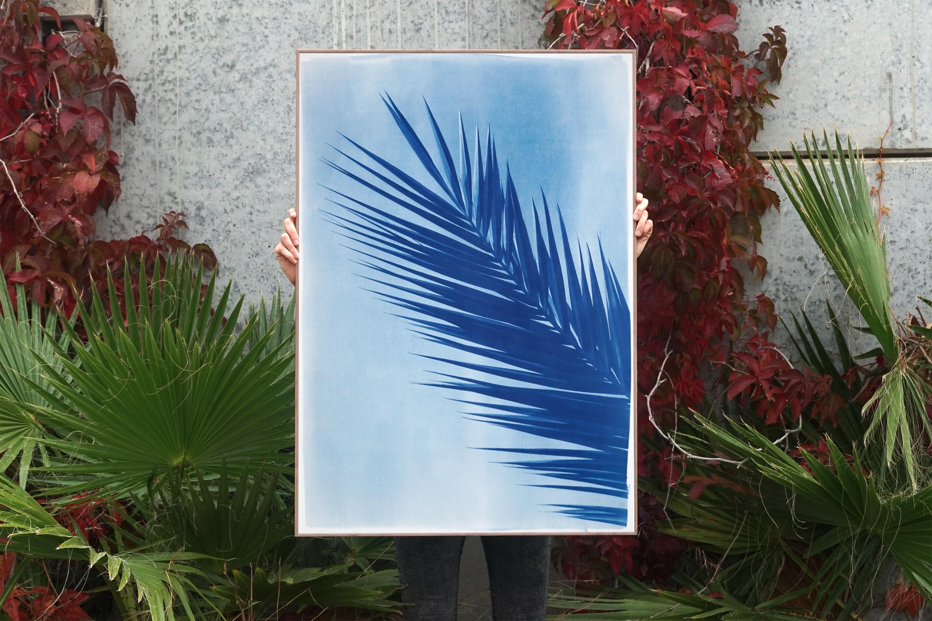 Feuille de palmier au-dessus d'un ciel bleu, cyanotype botanique sur papier fait à la main, vintage tropical en vente 2