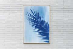 Palm Leaf Over Blue Sky, Handmade Botanical Cyanotype on Paper, Tropical Vintage