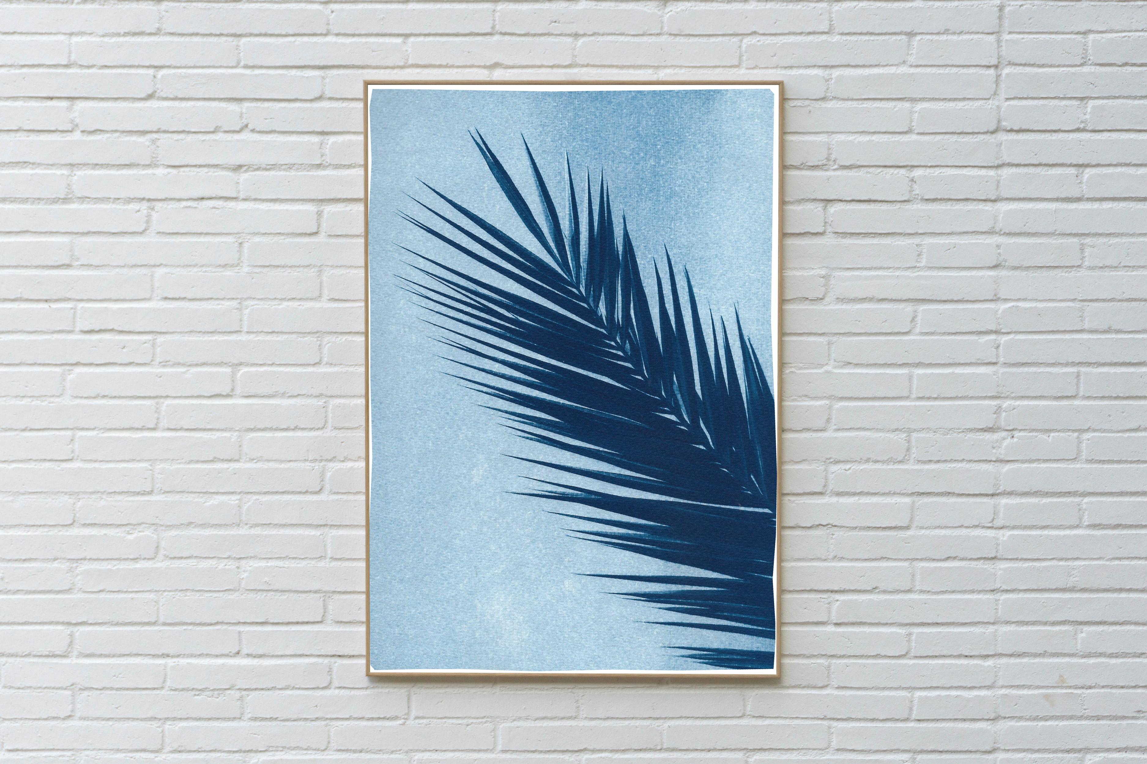 Palm Leaf Over Blue Sky, Handmade Botanical Cyanotype on Paper, Tropical Vintage - Naturalistic Art by Kind of Cyan