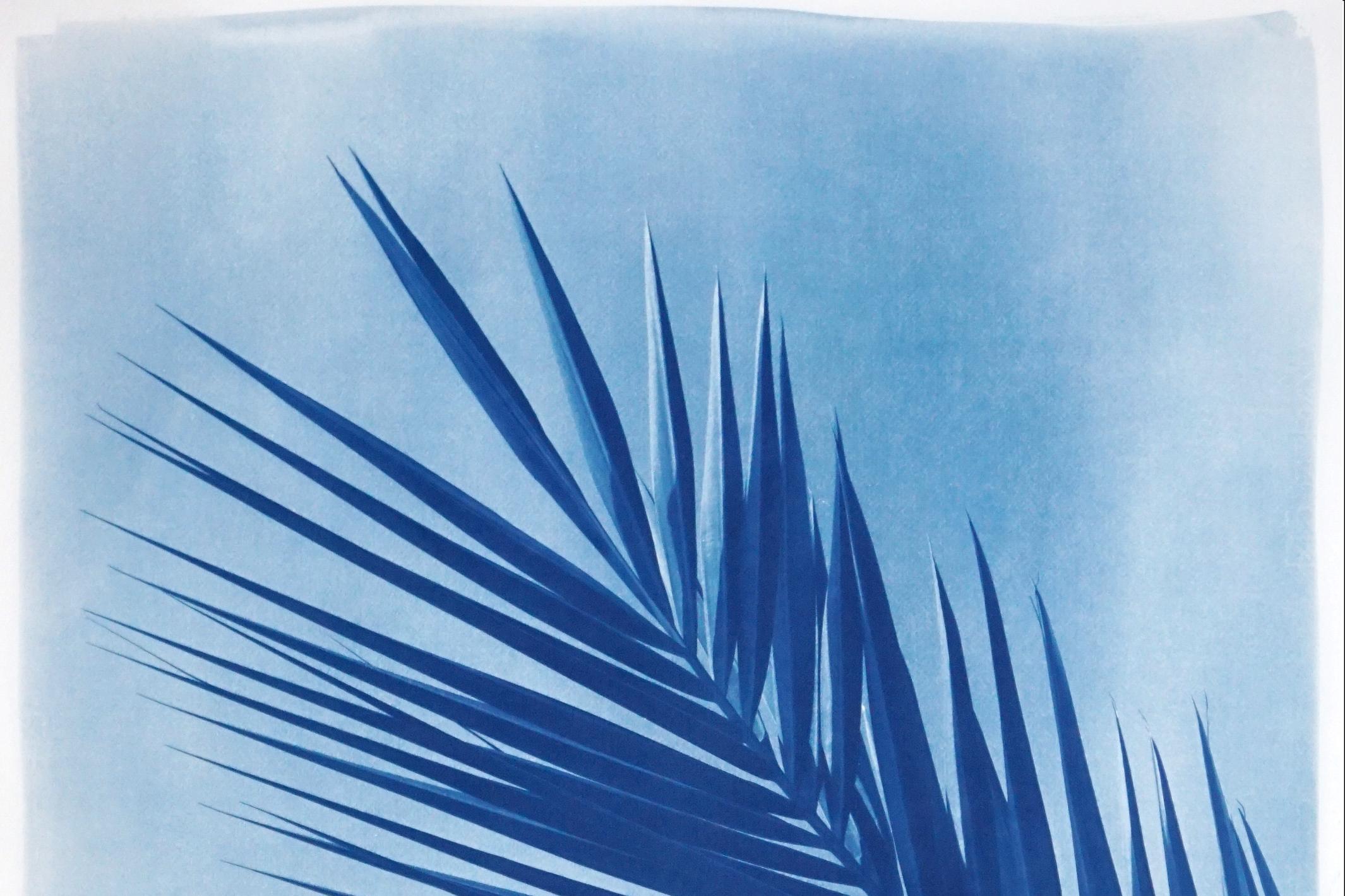 Feuille de palmier au-dessus d'un ciel bleu, cyanotype botanique sur papier fait à la main, vintage tropical - Bleu Landscape Art par Kind of Cyan