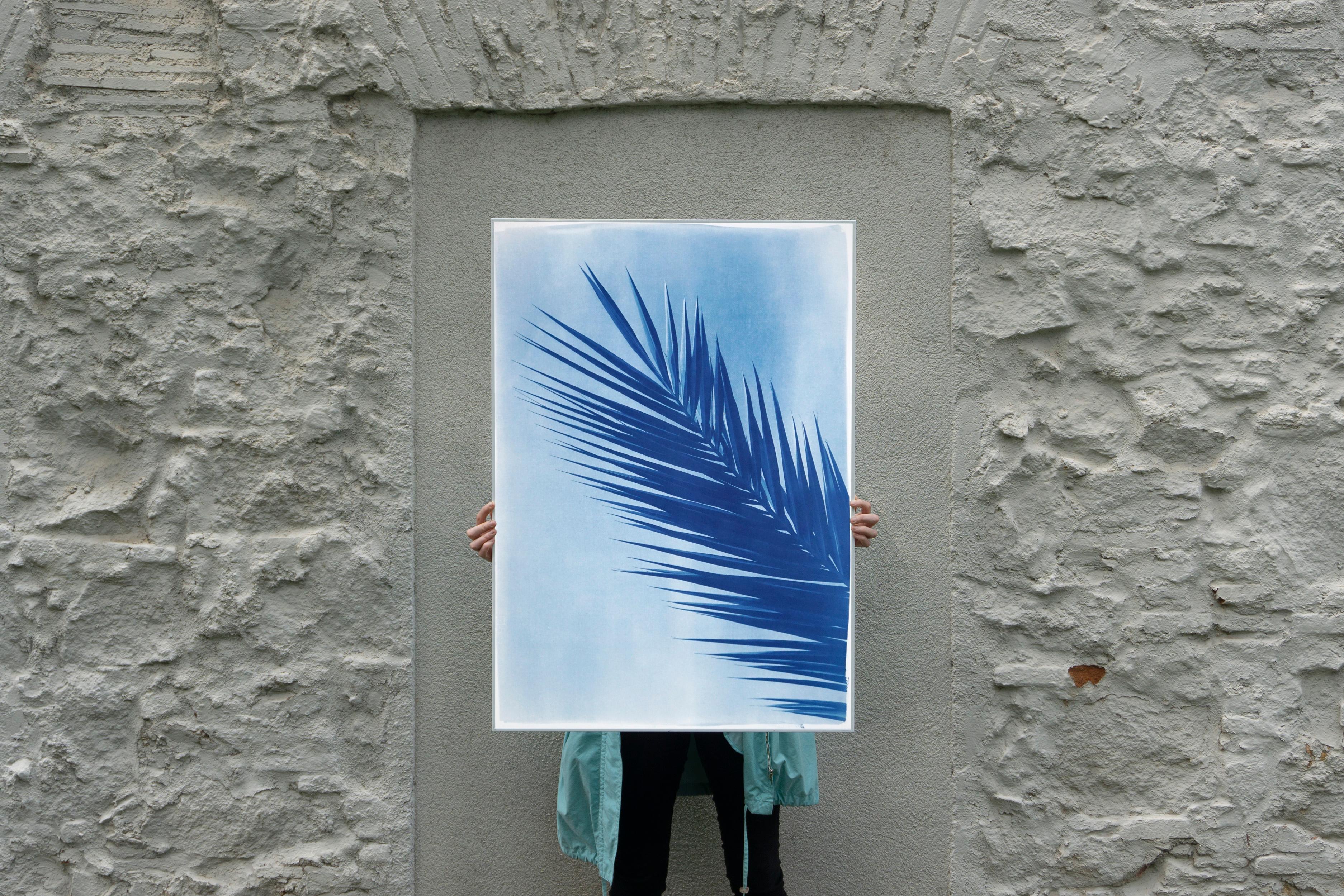 Feuille de palmier au-dessus d'un ciel bleu, cyanotype botanique sur papier fait à la main, vintage tropical en vente 1