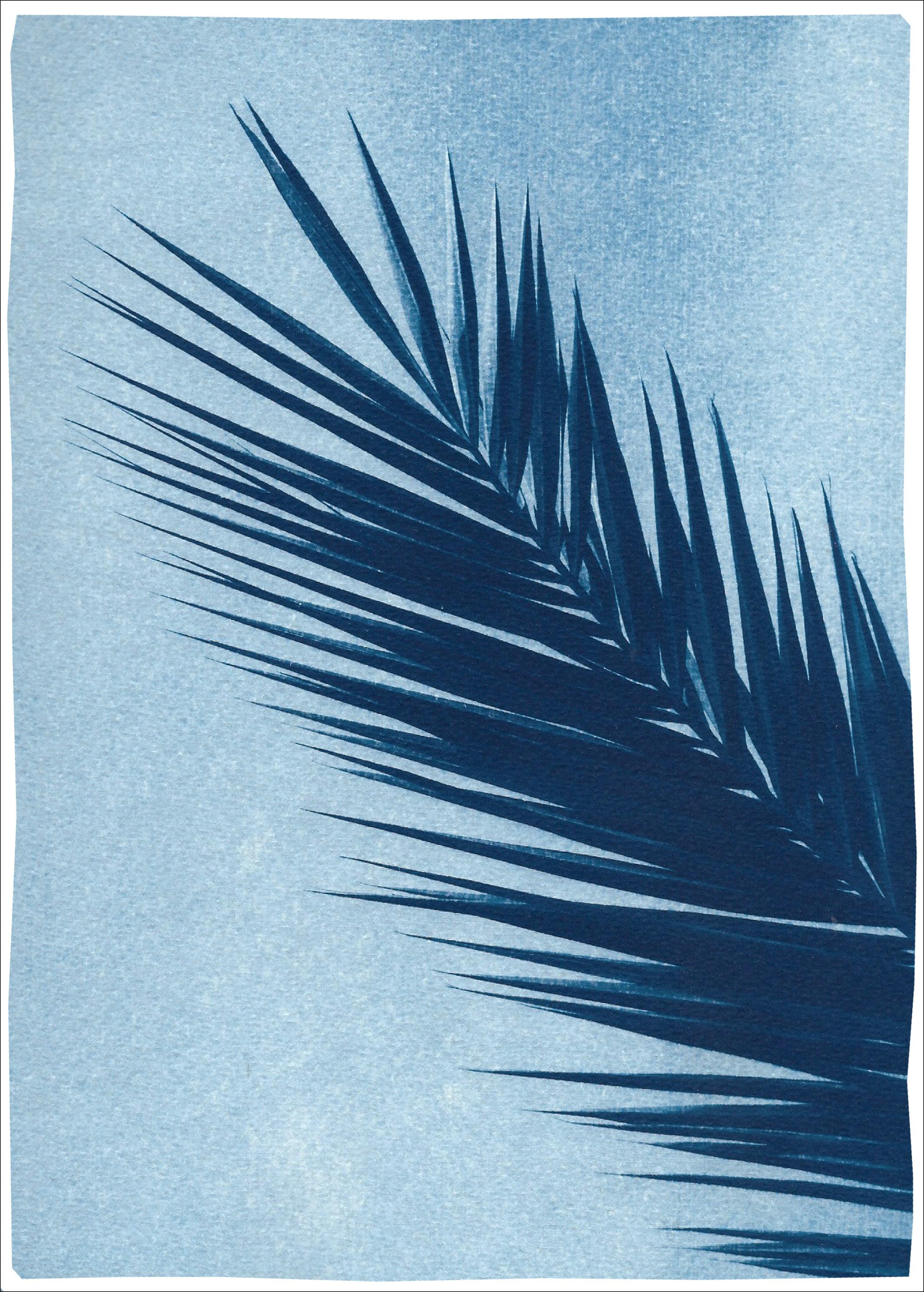 Kind of Cyan Landscape Art - Palm Leaf Over Blue Sky, Handmade Botanical Cyanotype on Paper, Tropical Vintage