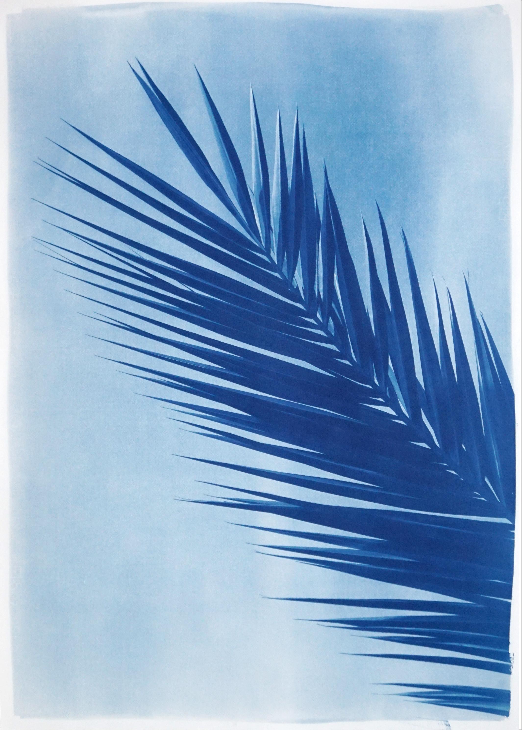 Feuille de palmier au-dessus d'un ciel bleu, cyanotype botanique sur papier fait à la main, vintage tropical