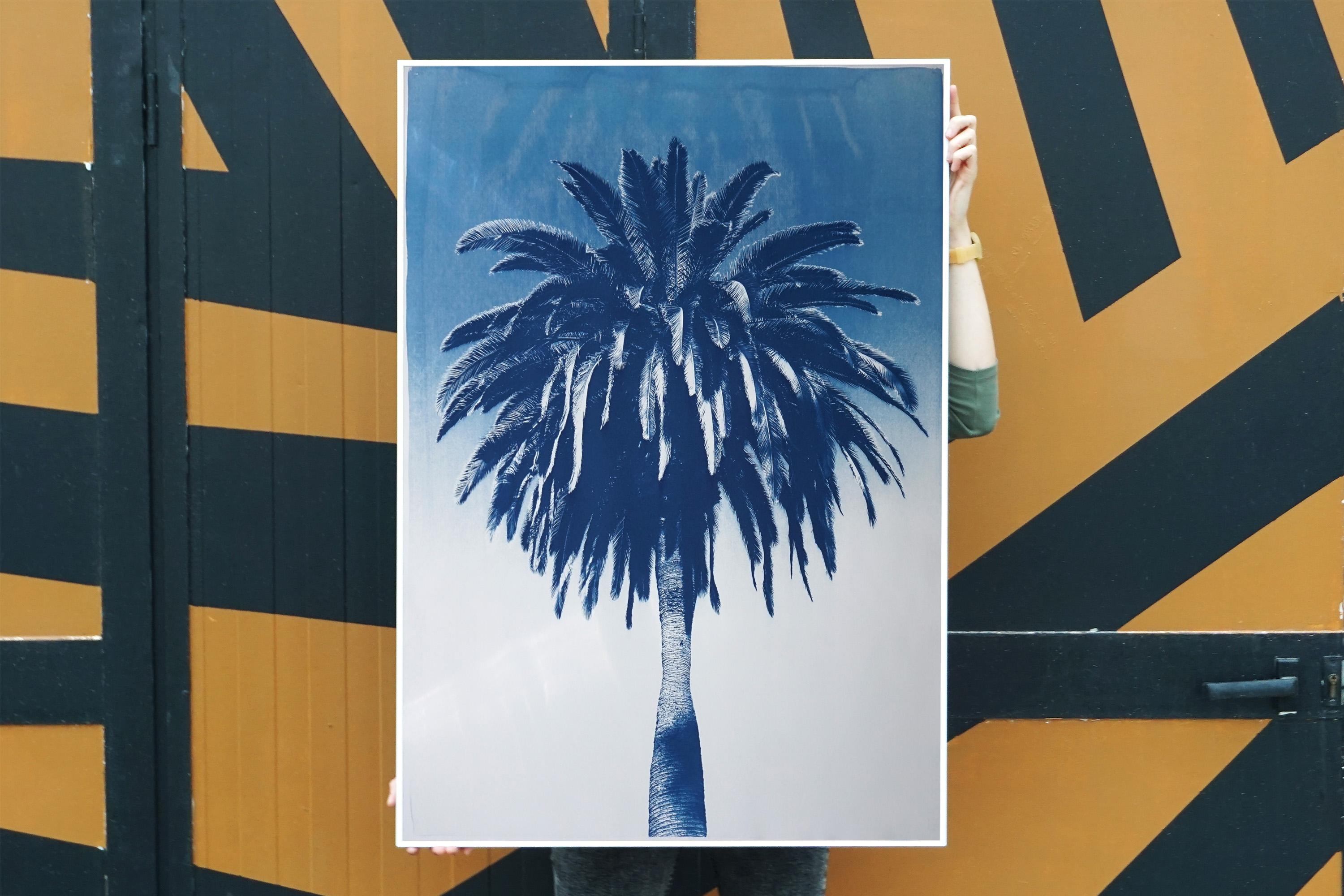 Tropical Botanical Cyanotype, Marrakesh Majorelle Palm, Blue Tree, Still Life  For Sale 5