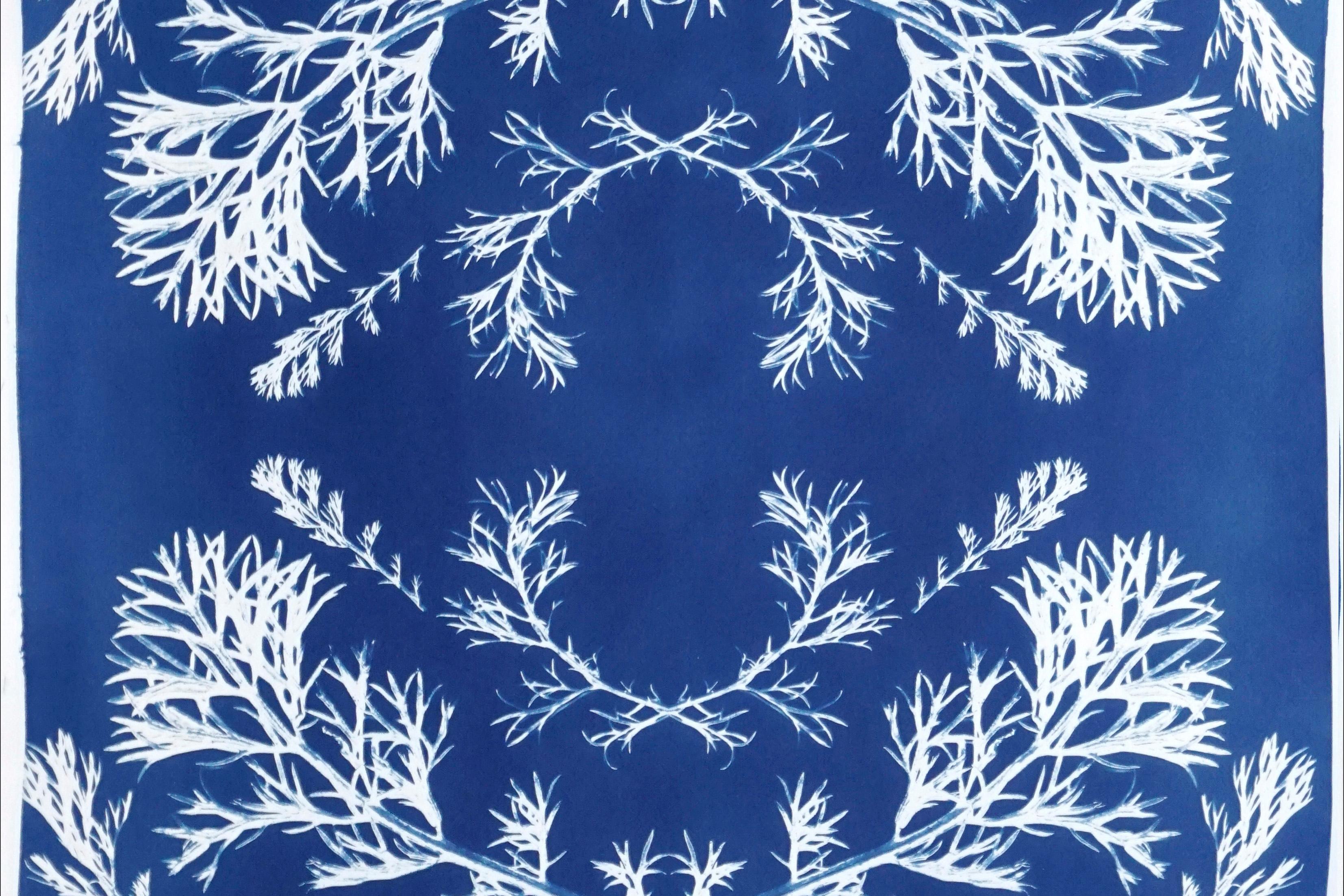 Gepresste Blumen in Blau, botanische Zyanotypie auf Papier, nordischer Stil  (Barock), Print, von Kind of Cyan
