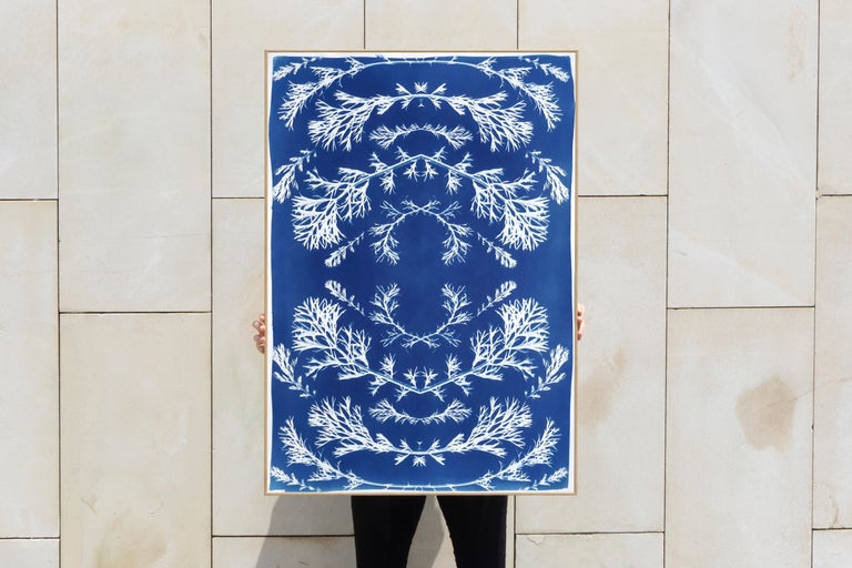 This is an exclusive handprinted limited edition cyanotype.

Details:
+ Title: Vintage Pressed Flowers Nº1
+ Year: 2021
+ Edition Size: 20
+ Stamped and Certificate of Authenticity provided
+ Measurements : 70x100 cm (28x 40 in.), a standard frame