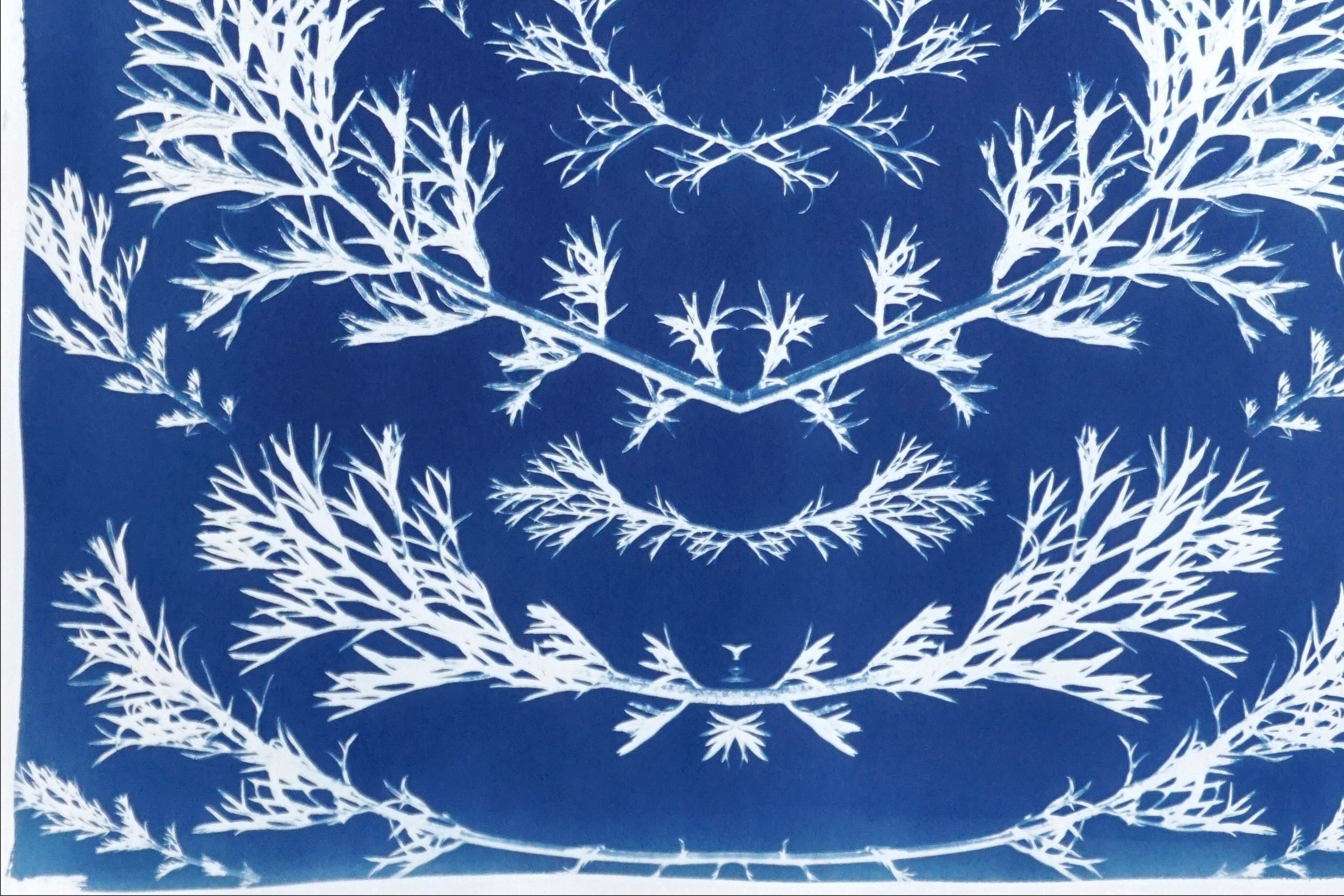 Vintage - Fleurs pressées en bleu, cyanotype botanique sur papier, style nordique  en vente 2
