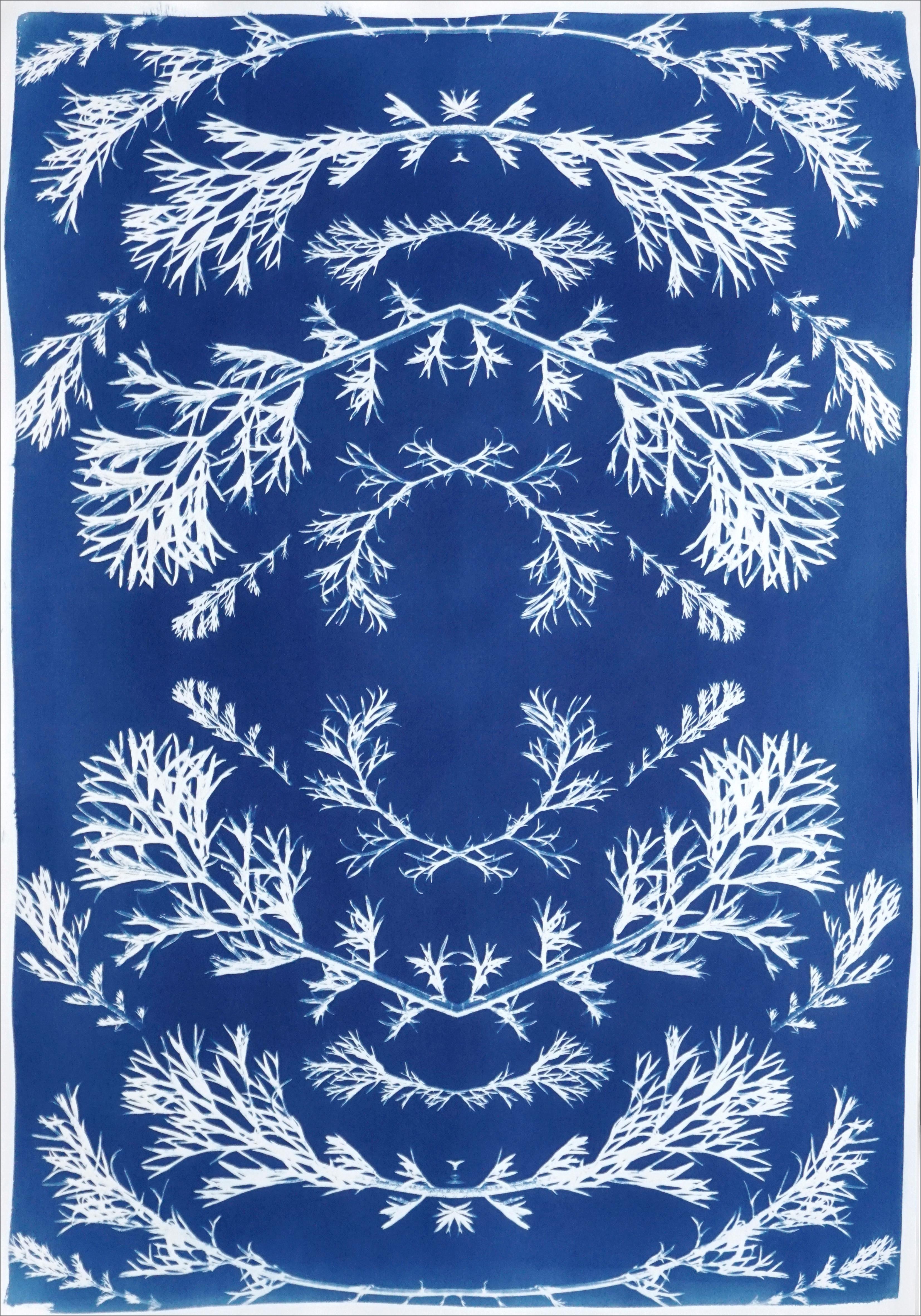 Vintage Pressed Flowers in Blue, Botanical Cyanotype on Paper, Nordic Style 