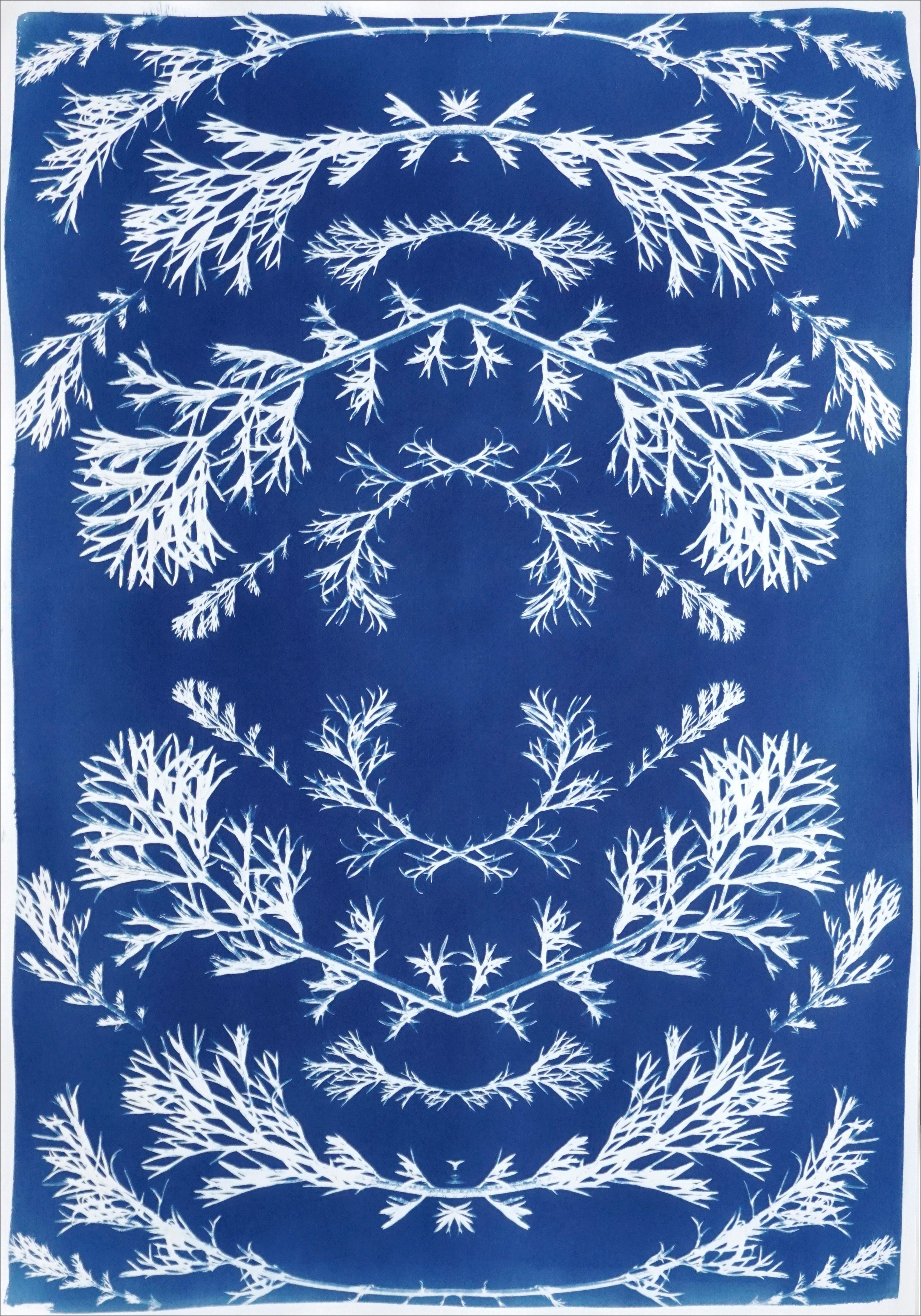 Kind of Cyan Still-Life Print - Vintage Pressed Flowers in Blue, Botanical Cyanotype on Paper, Nordic Style