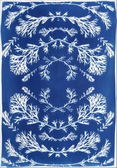 Gepresste Blumen in Blau, botanische Zyanotypie auf Papier, nordischer Stil