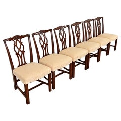 Kindel Furniture - Sedie da pranzo in mogano intagliato georgiano, set di sei sedie