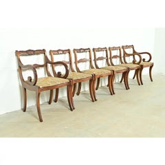 Kindel Furniture Style Regency Carved Solid Mahogany Dining Chairs, Set of Six