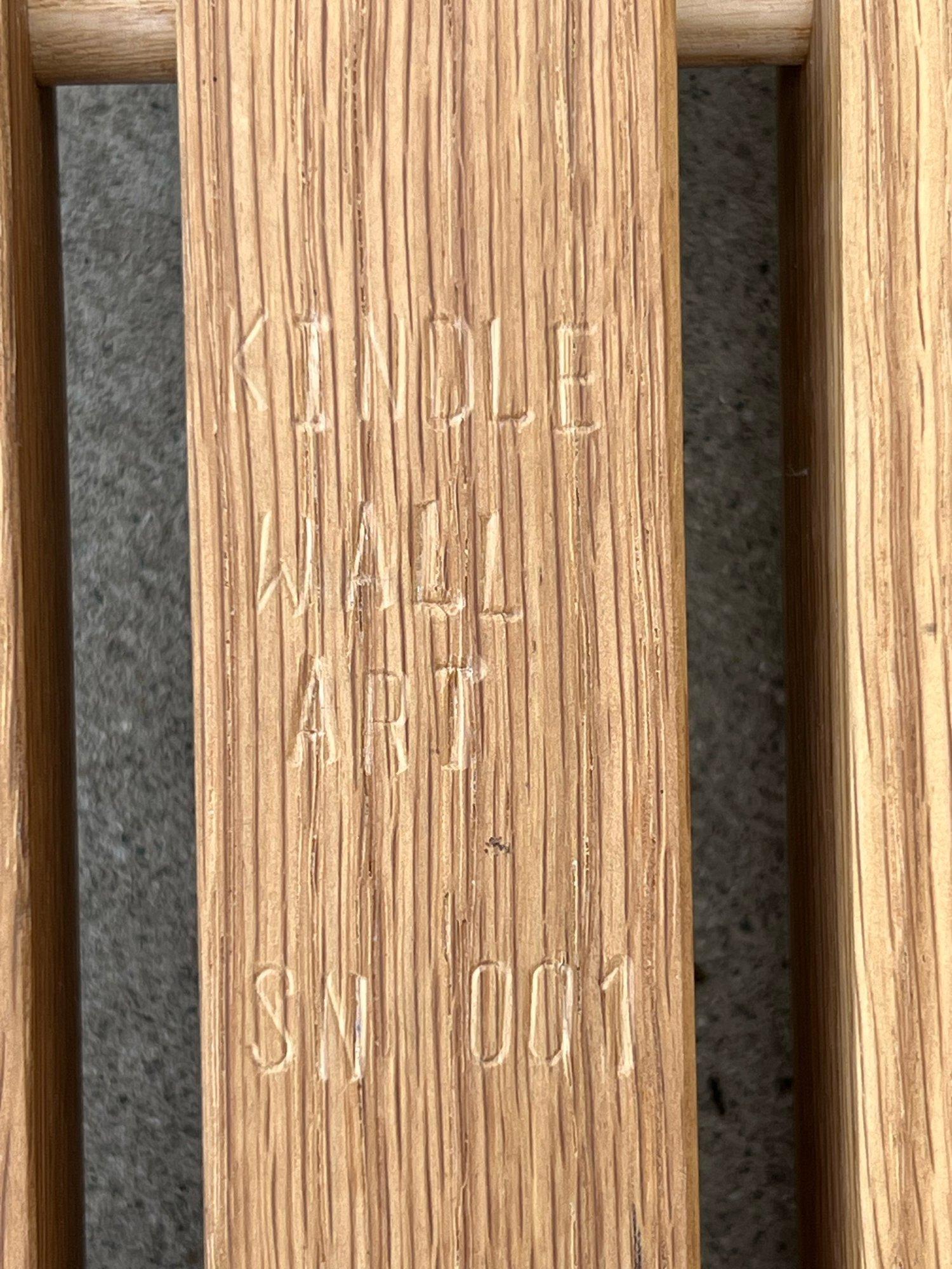 Kindle Wall Art by Travis Hyatt 2
