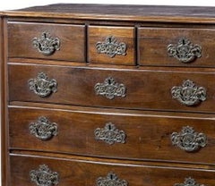 King John V style Chest of Drawers in Noble Wood - 18th Century