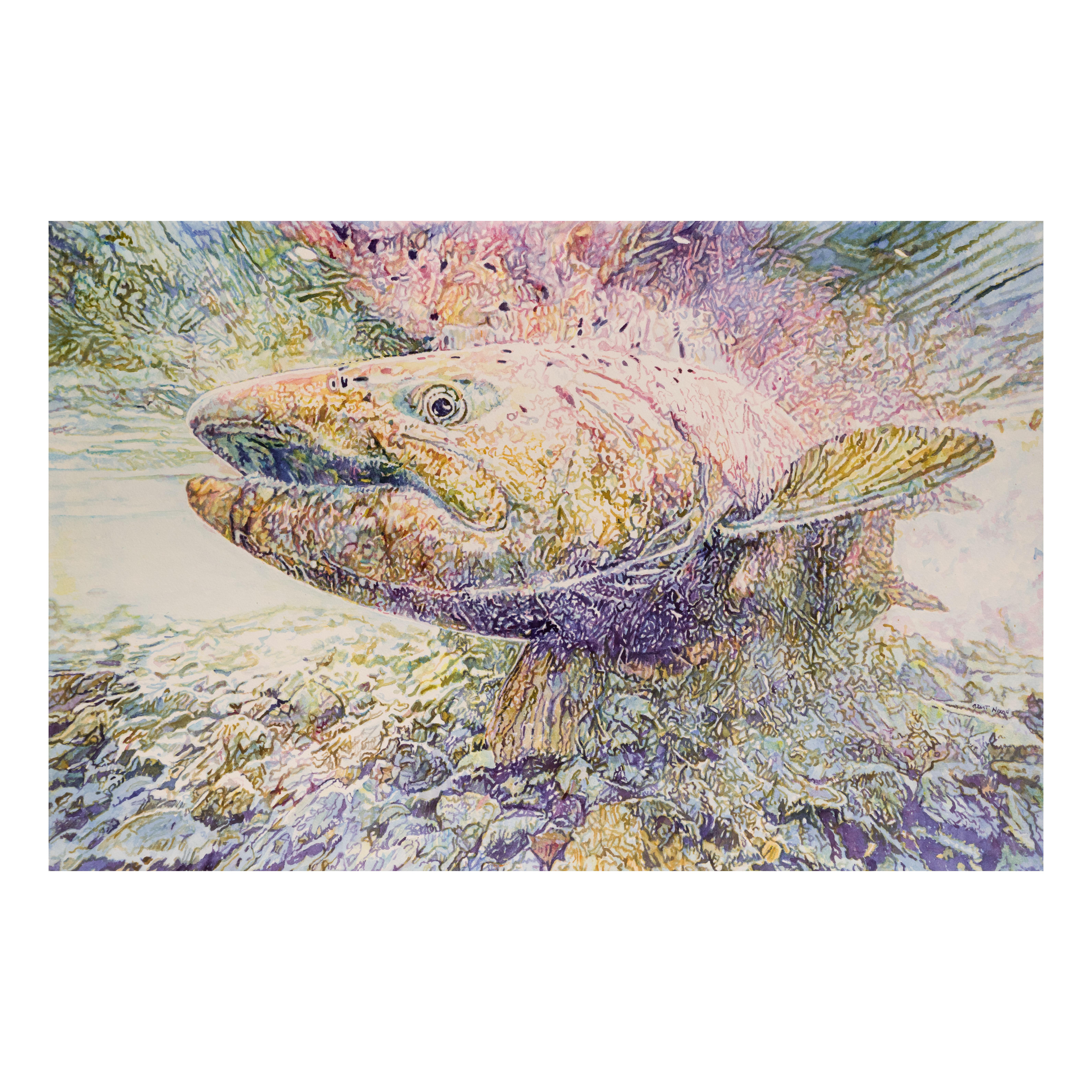 Américain King Salmon - Aquarelle originale de Grant Nixon en vente