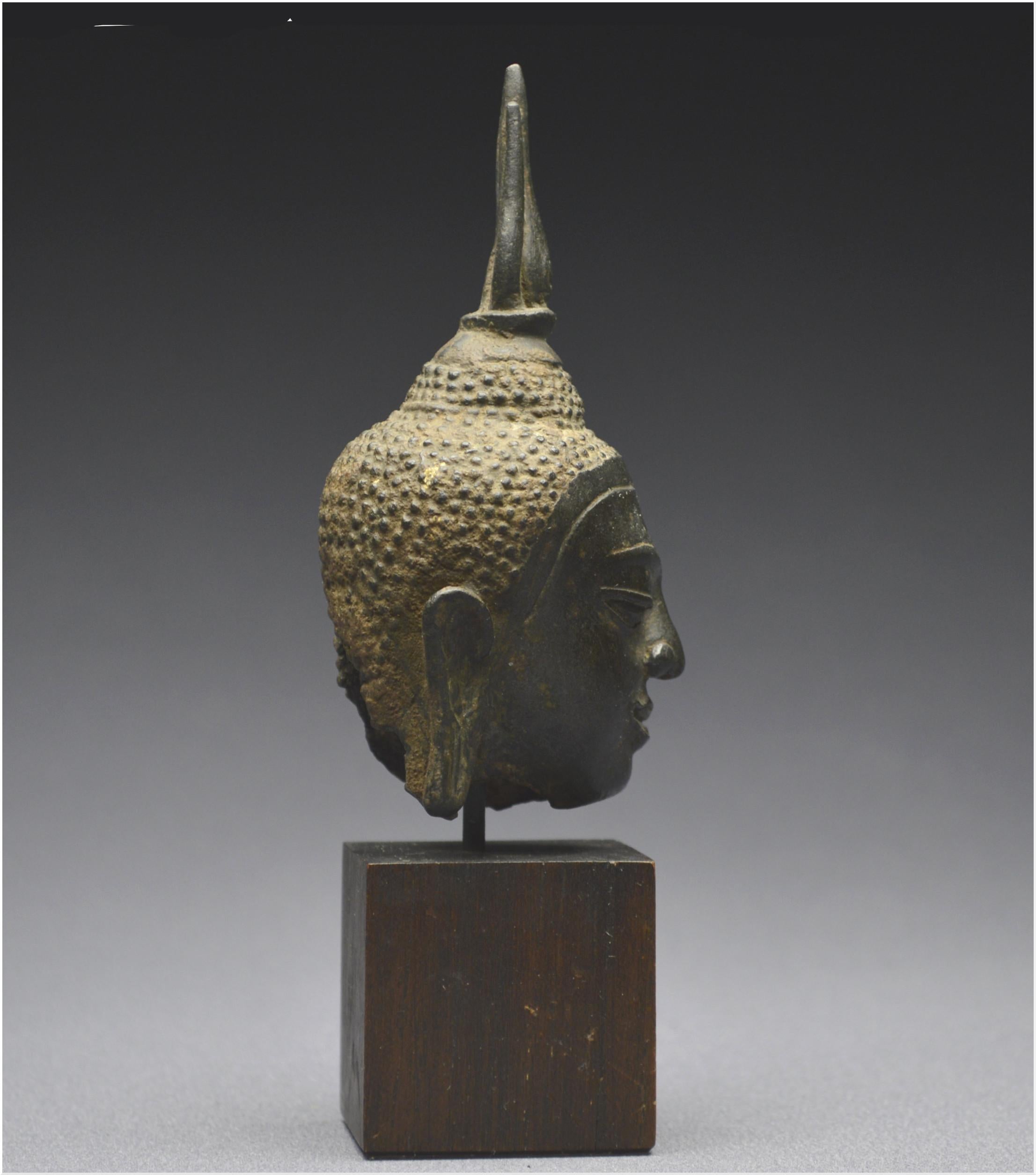 Bronze Kingdom of Siam, 14th - 15th century, U-Thong style, Small bronze Buddha head 