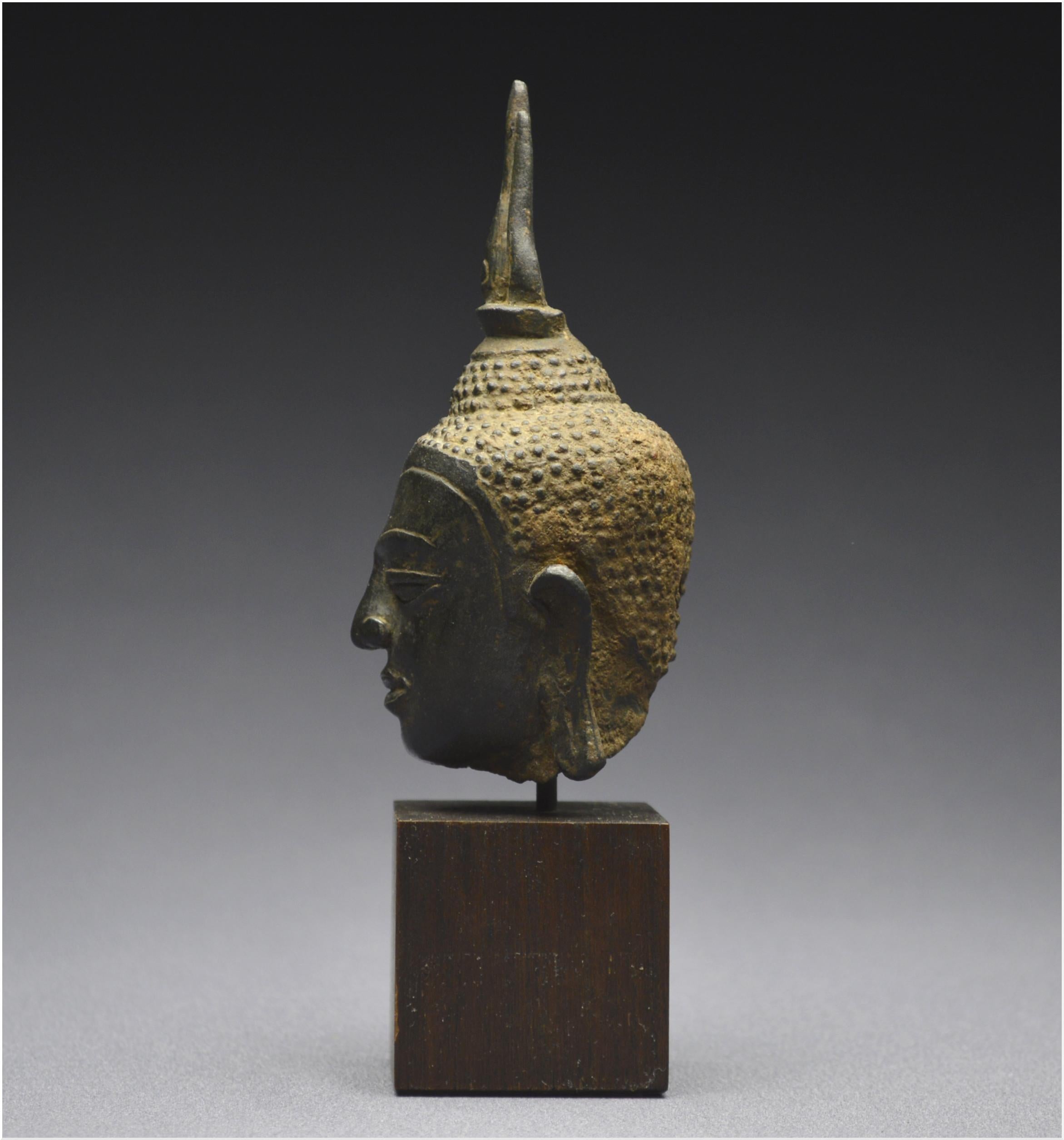 Kingdom of Siam, 14th - 15th century, U-Thong style, Small bronze Buddha head  1
