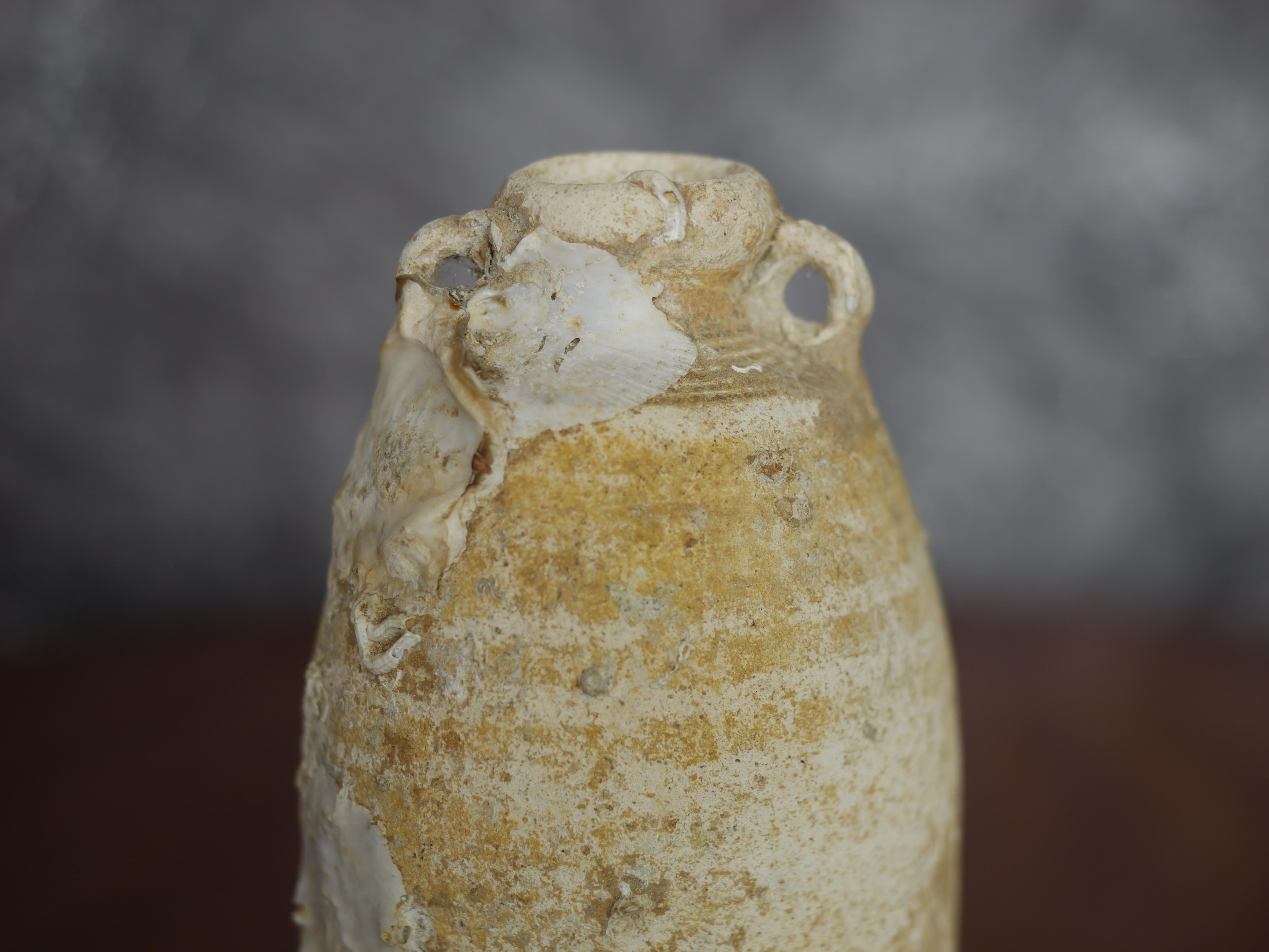 Cette jarre en céramique Sawankhalok du XVIIe siècle est une pièce remarquable qui témoigne de l'artisanat exquis du royaume de Sukhothai, en Thaïlande. La jarre présente des excroissances marines naturelles, ce qui ajoute à son authenticité et à