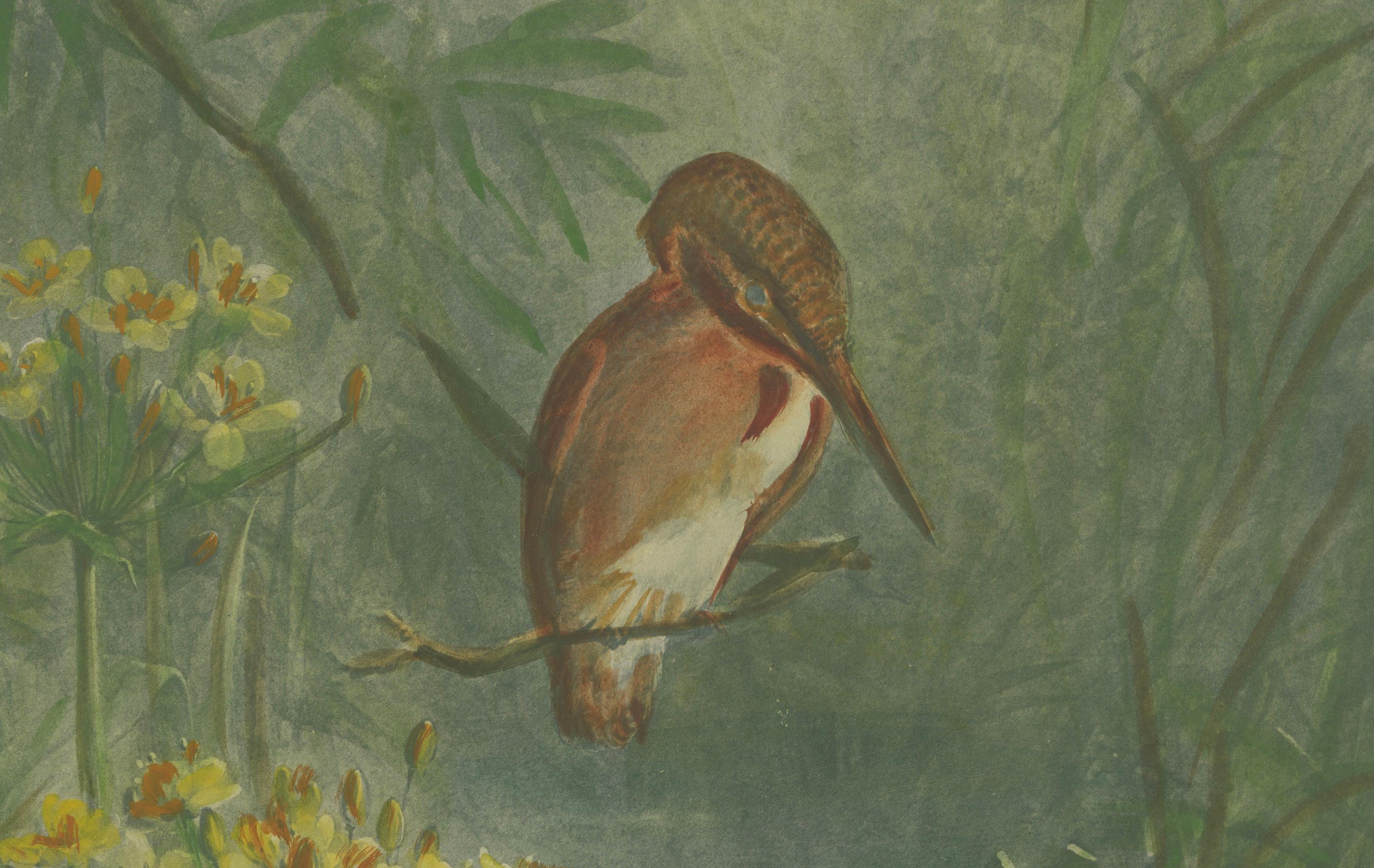 Kingfisher by the Water's Edge - Giacomelli's Tranquil Nature Scene, CIRCA 1891 (Spätes 19. Jahrhundert) im Angebot