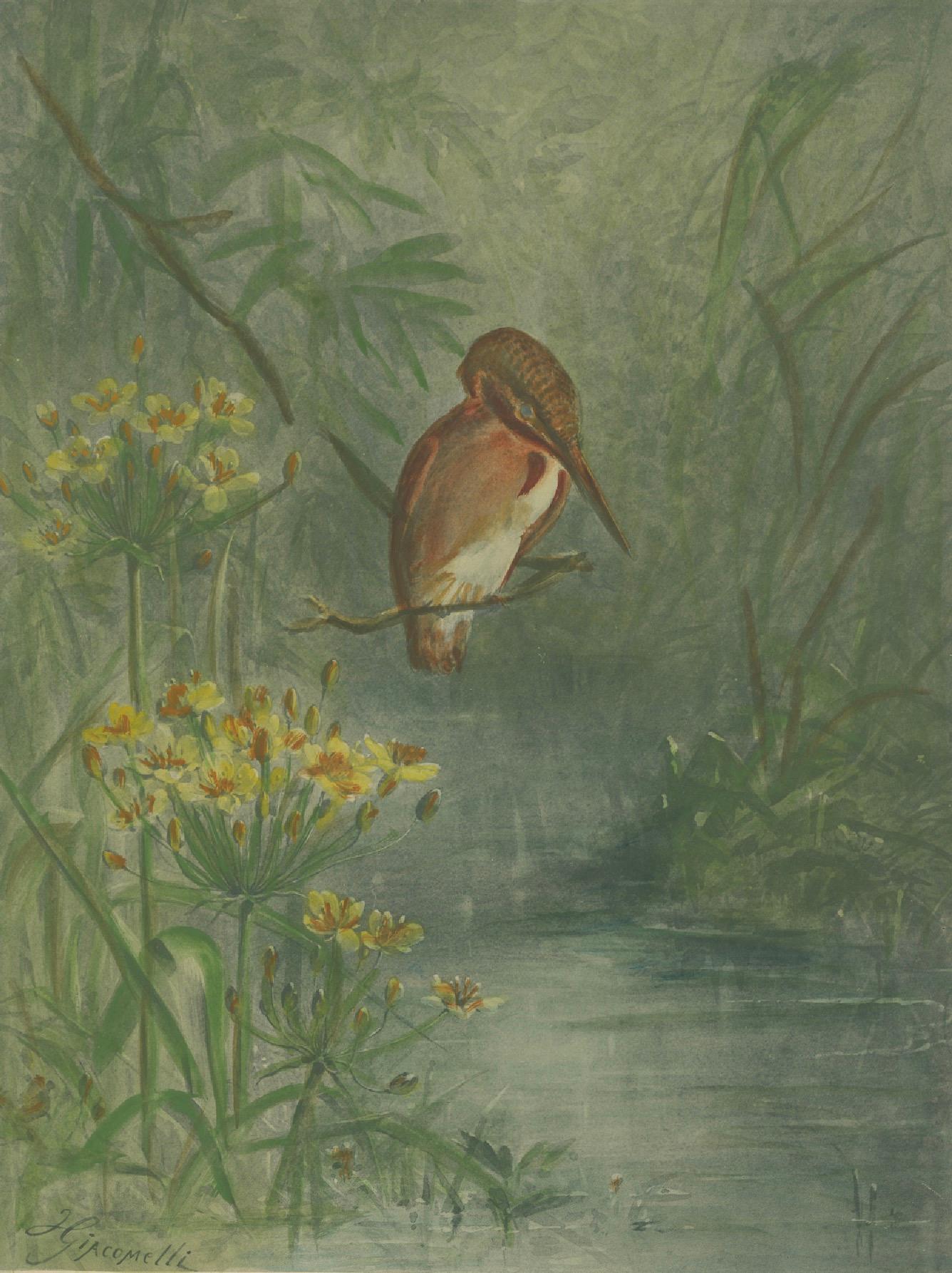 Kingfisher by the Water's Edge - Giacomelli's Tranquil Nature Scene, CIRCA 1891 (Papier) im Angebot