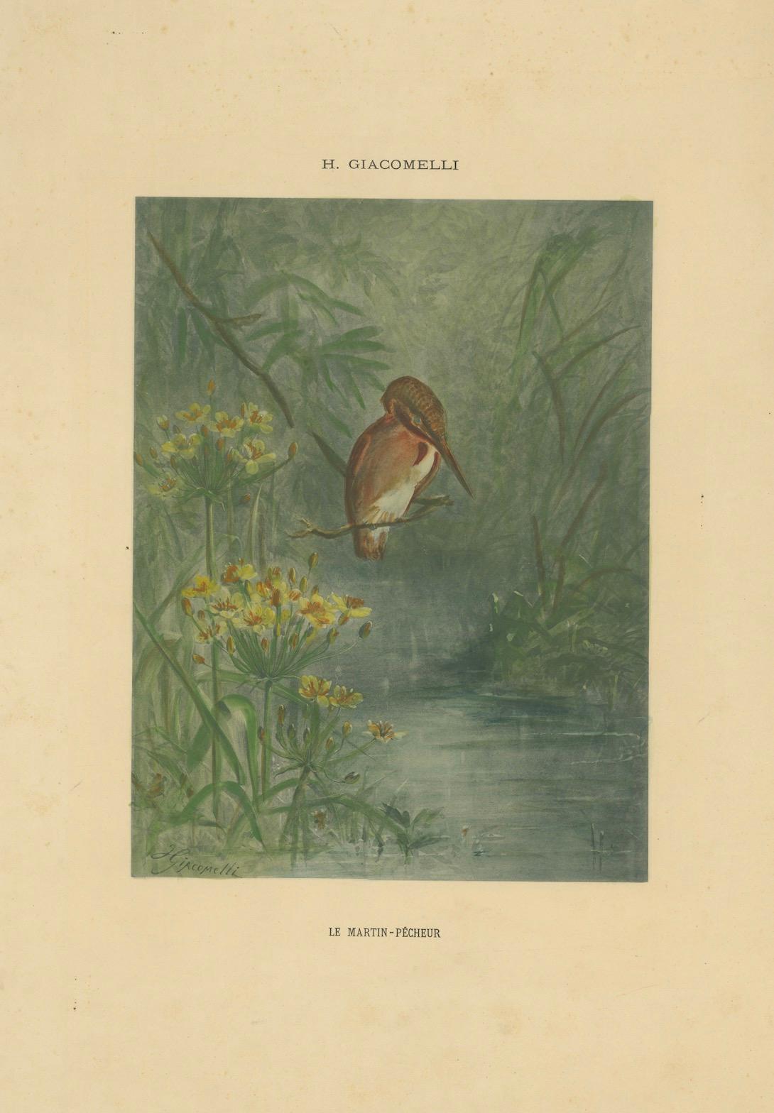 Kingfisher by the Water's Edge - Giacomelli's Tranquil Nature Scene, CIRCA 1891 im Angebot 1