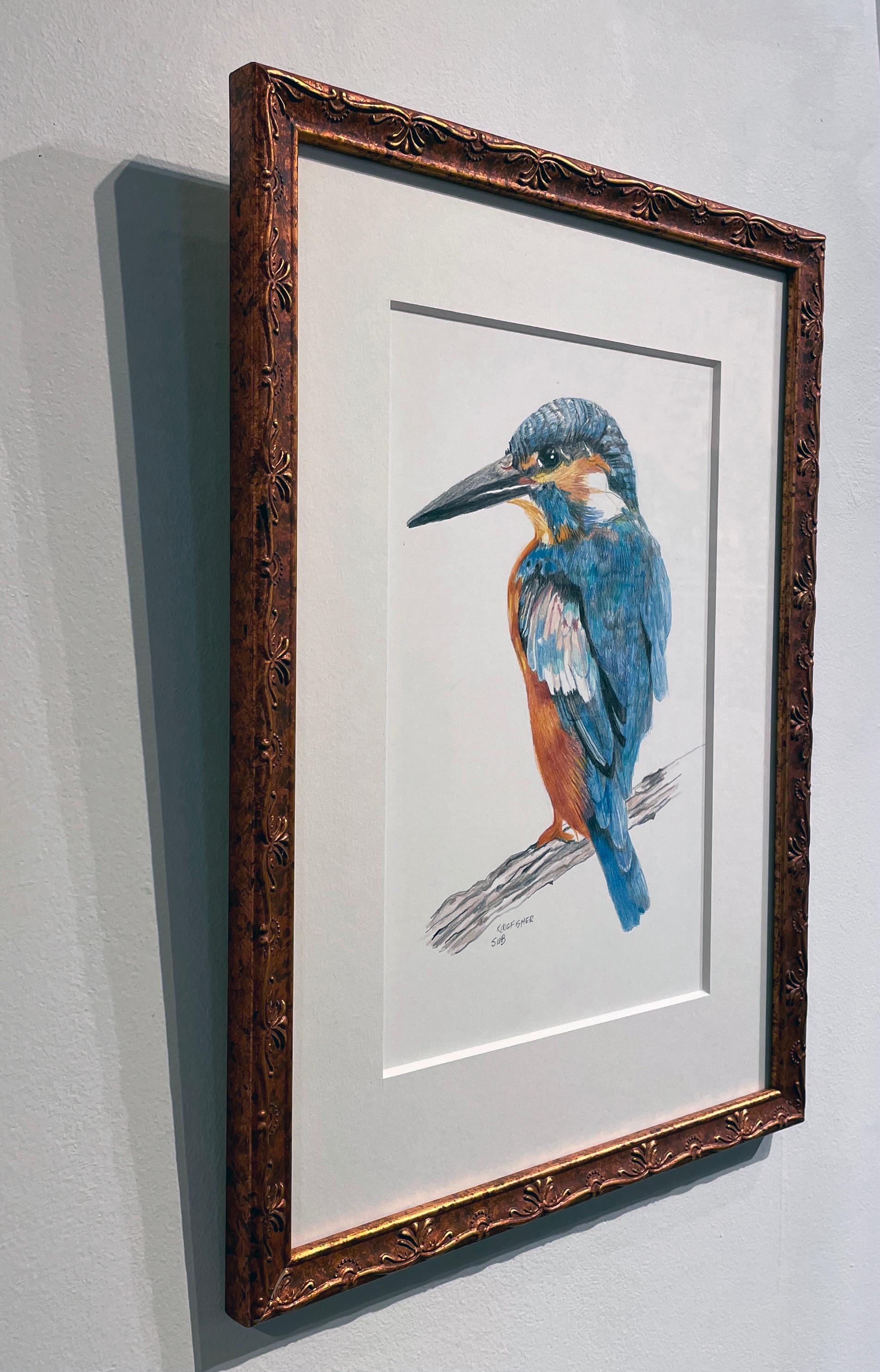 Contemporary Kingfisher, Colored Pencil Drawing with Blue, Orange, Brown, Matted & Framed For Sale