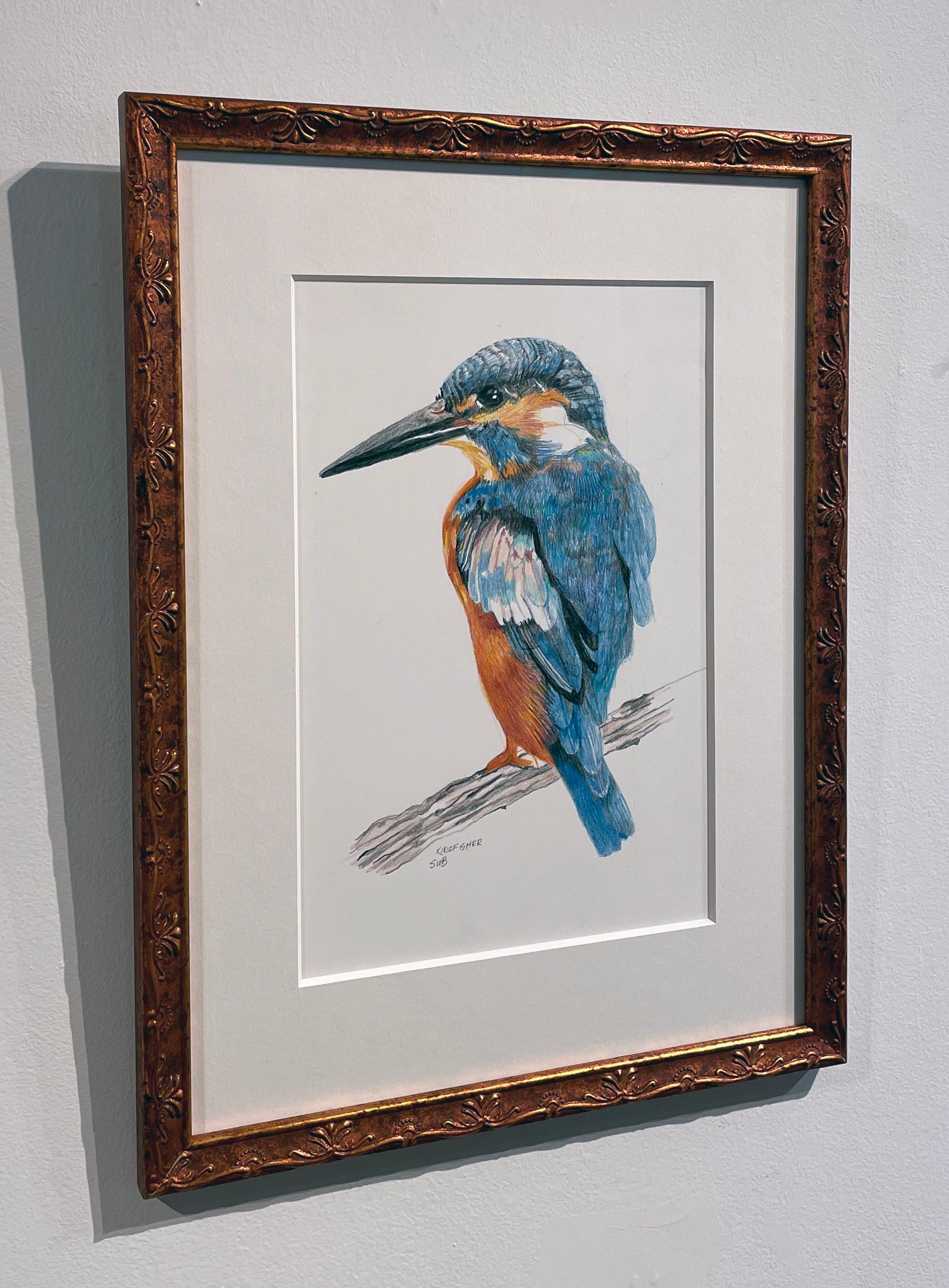 Hand-Crafted Kingfisher, Colored Pencil Drawing with Blue, Orange, Brown, Matted & Framed For Sale