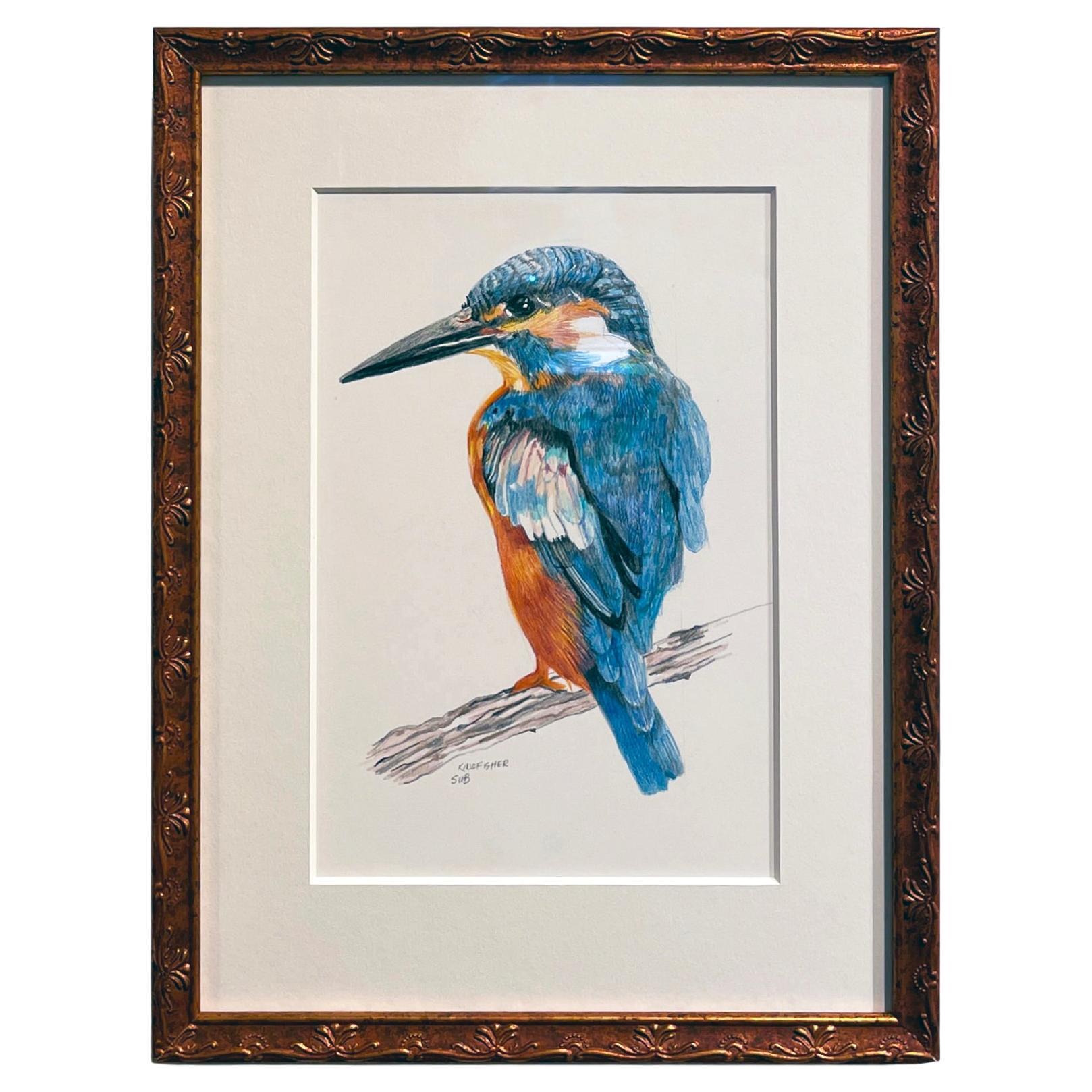 Martin pescatore, disegno a matita colorata con blu, arancione e marrone, opaco e incorniciato