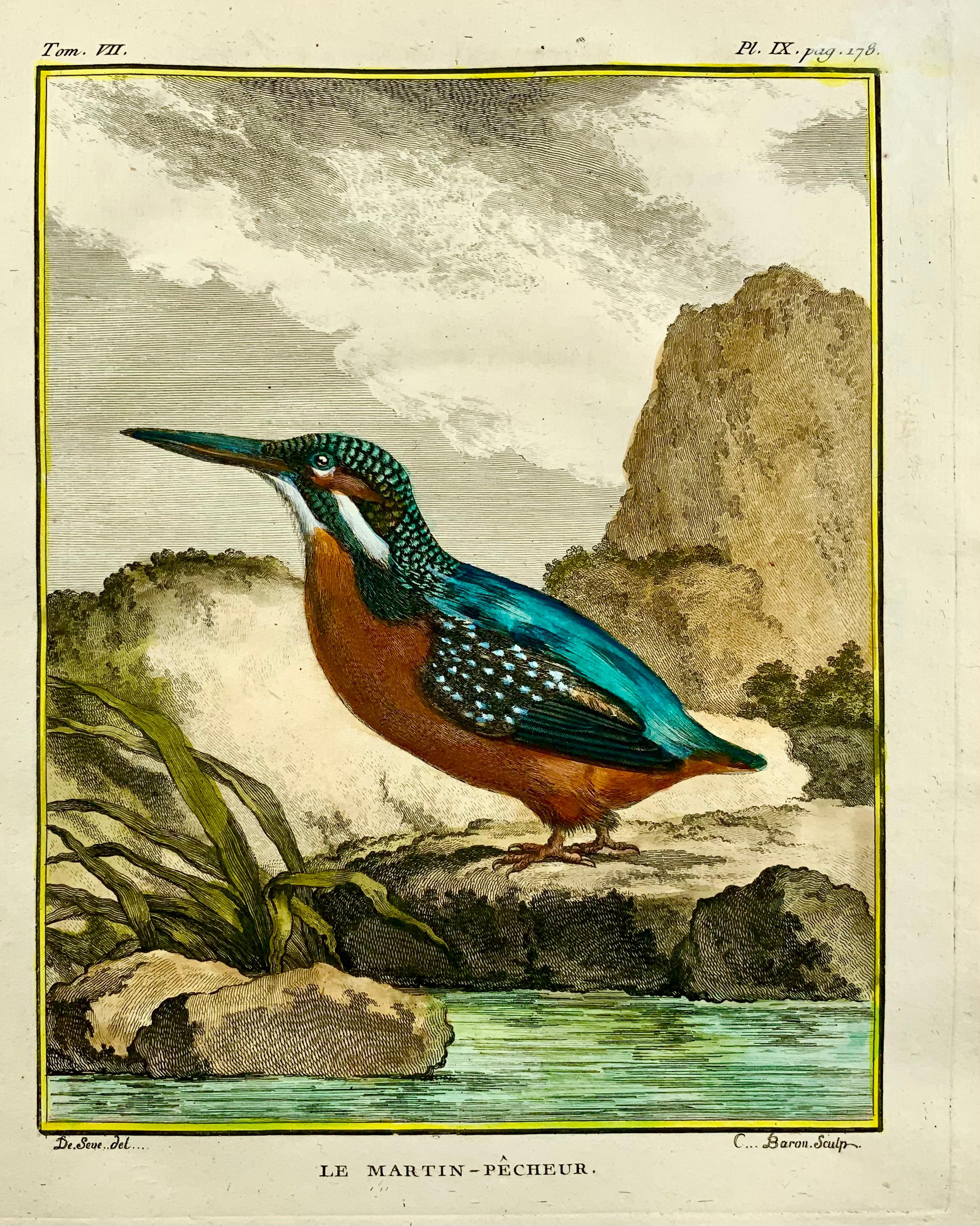 Engraving on hand laid (verge) paper. 

Issued for the famed First Edition in quarto of the “Histoire naturelle des oiseaux.”, by Georges-Louis Leclerc, Comte de Buffon, ed. published in Paris ca 1775. 

Made by ‘Baron’ after ‘Jacques de