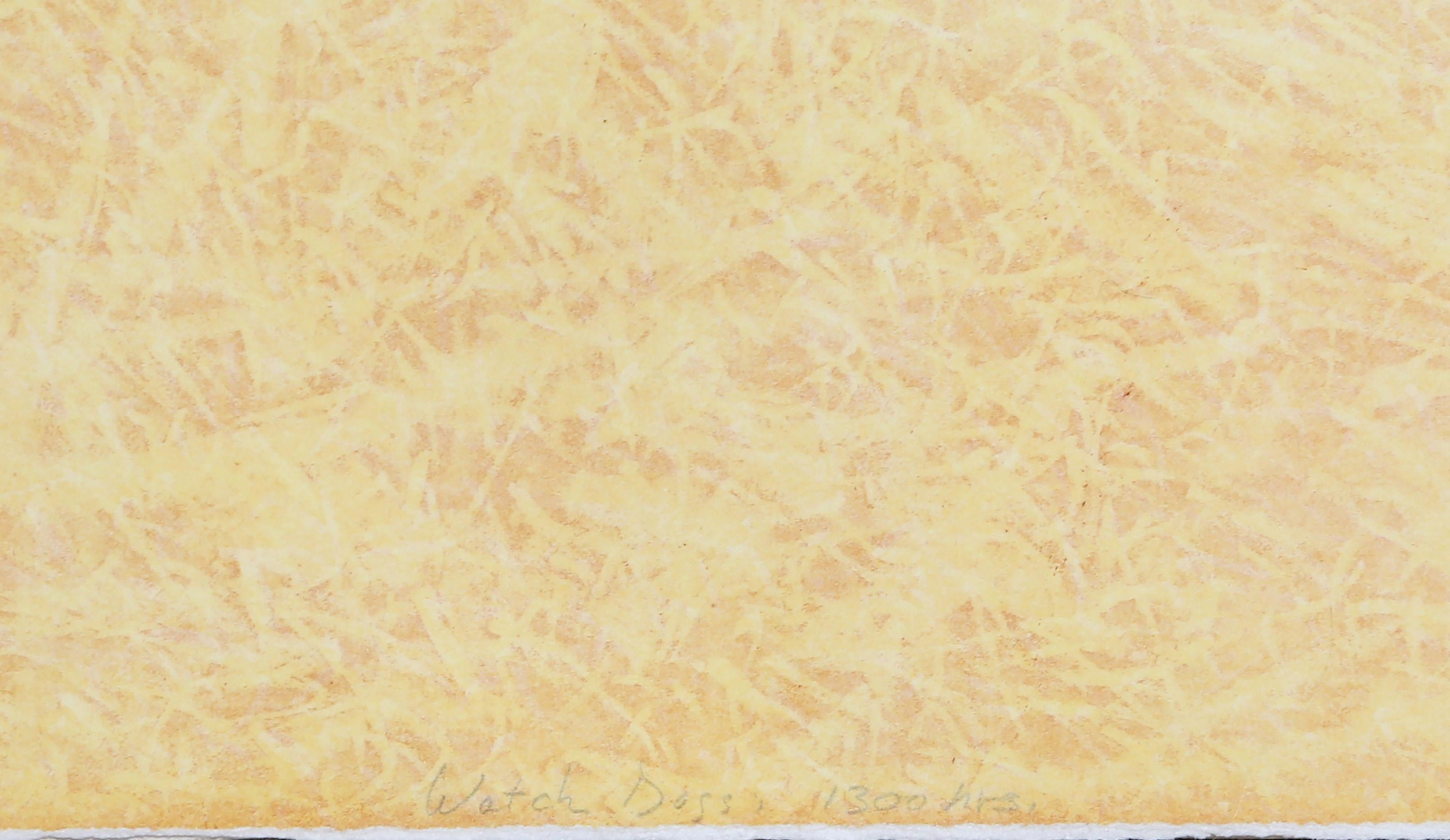 Watch Dogs : 1300 hrs, Gravure Pop Art par Kingsley Parker en vente 4