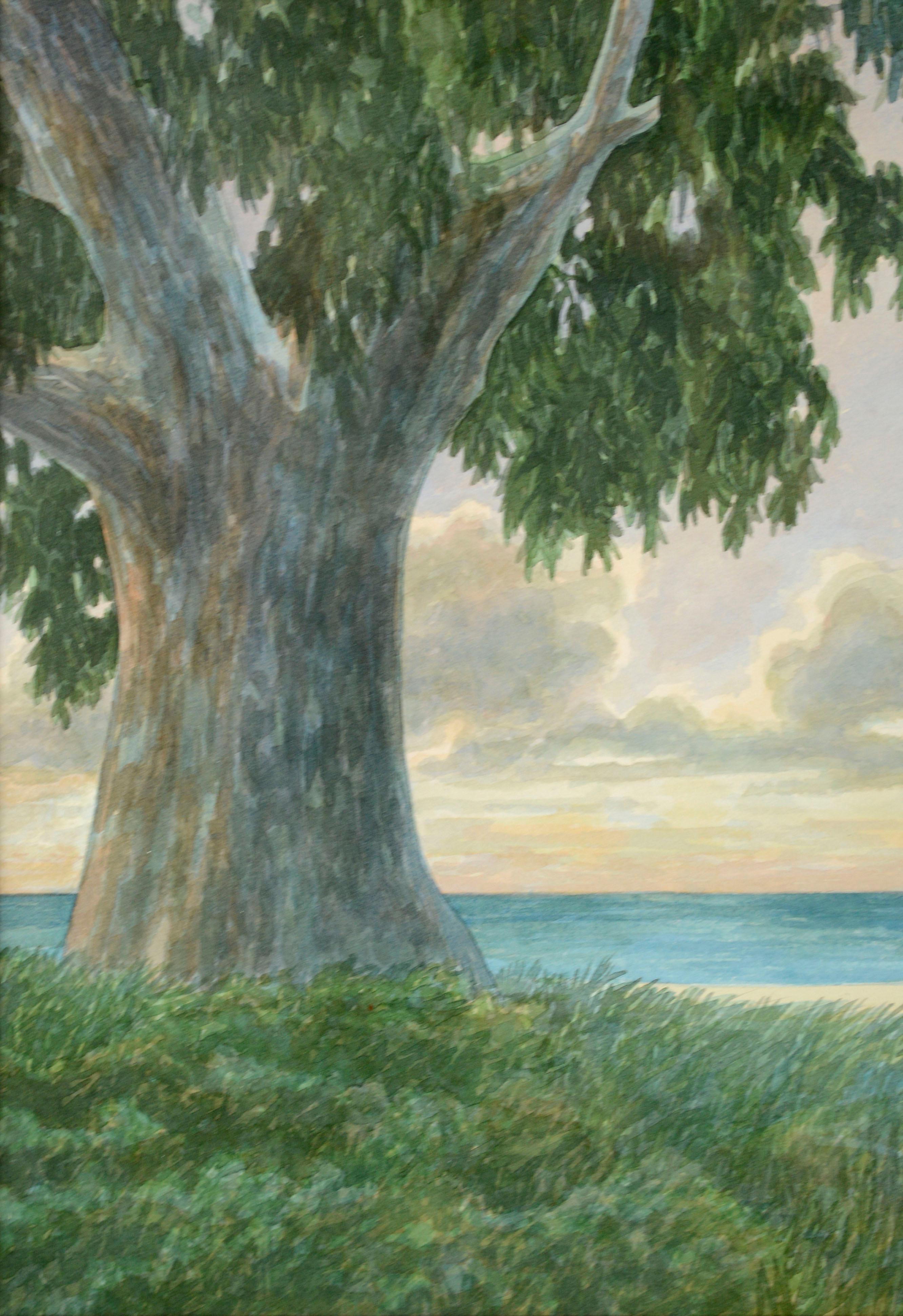Aquarelle d'un paysage côtier coucher de soleil en eucalyptus de Kipp Stewart en vente 2