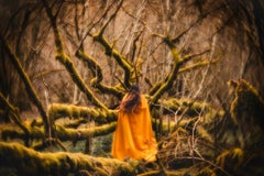 The Hierophants Journey Teil 4 (Spiritualität, Enigma, Transzendenz, ~30% OFF)