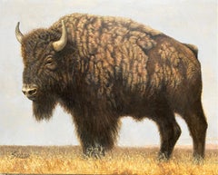Buffalo Song