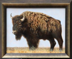 Buffalo Song