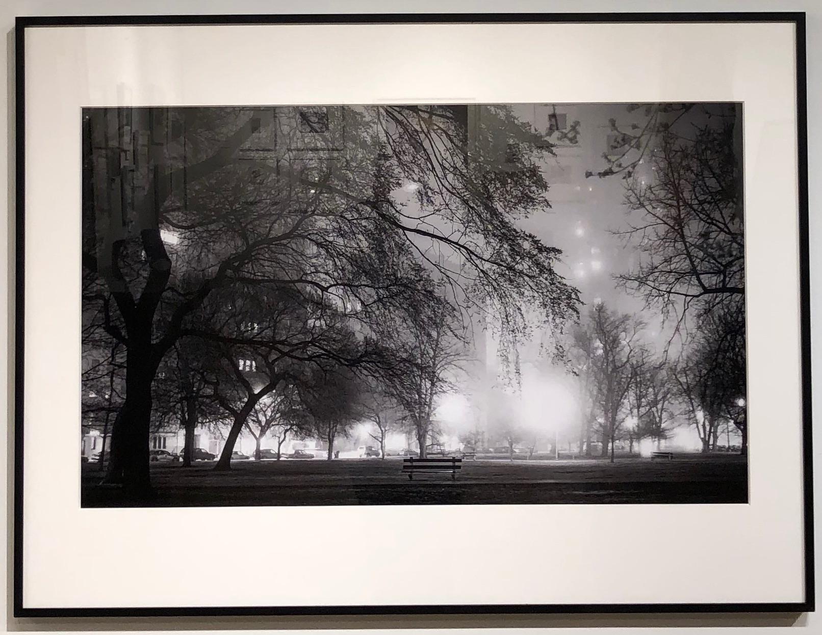 Lincoln Park Fog, Chicago, Nightfall in the Park w Street Lights Casting Shadows - Photograph by Kirill Polevoy