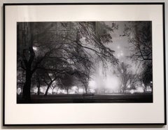 Lincoln Park Fog, Chicago, Nightfall in the Park w Street Lights Casting Shadows