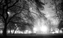 Lincoln Park Fog, Chicago, Nachtfall im Park mit Straßenleuchten, die Schatten werfen