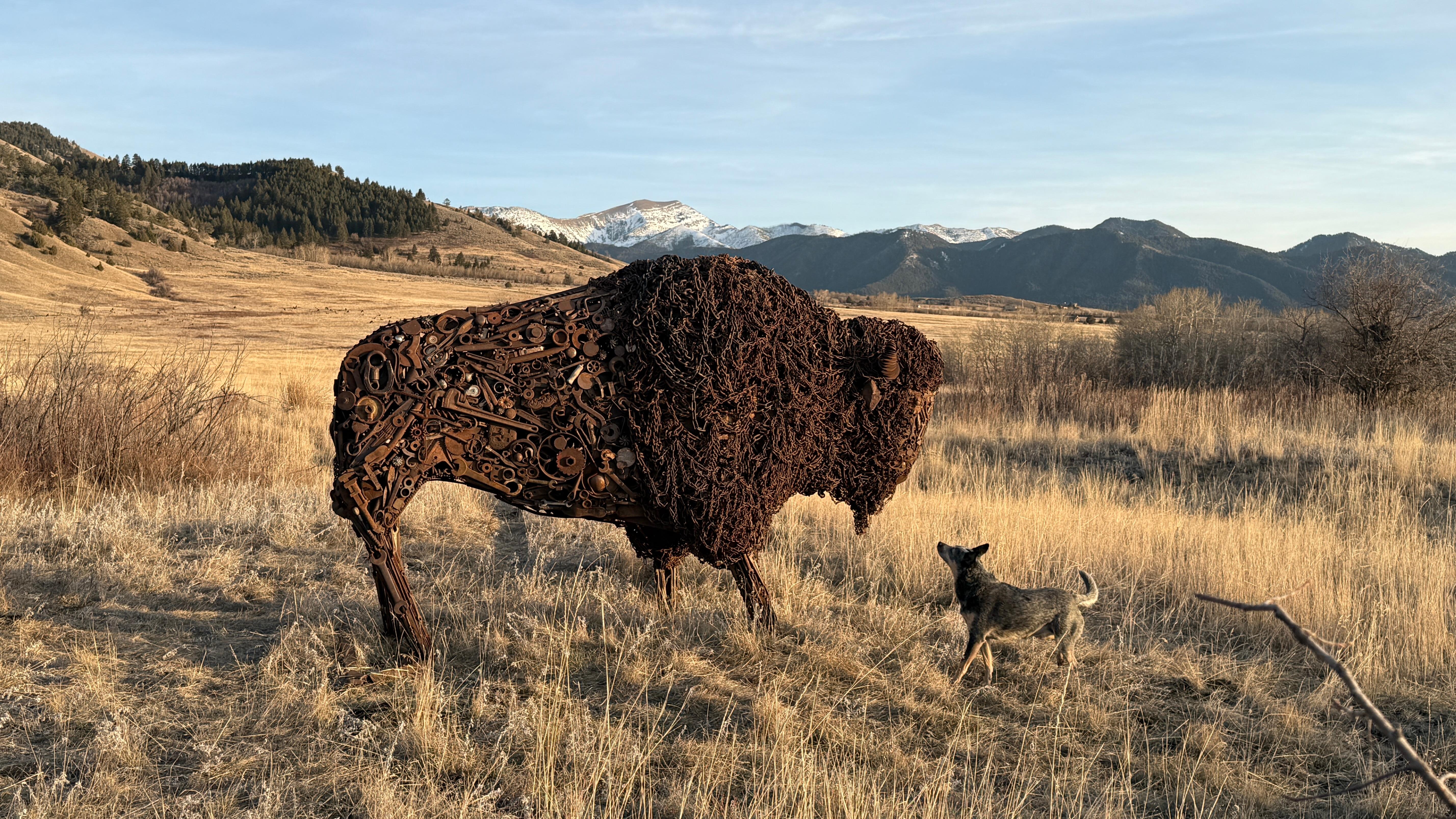 kirsten kainz  Figurative Sculpture - Bison Sculpture Outdoor Large Metal Sculpture Found Object Iron Assemblage