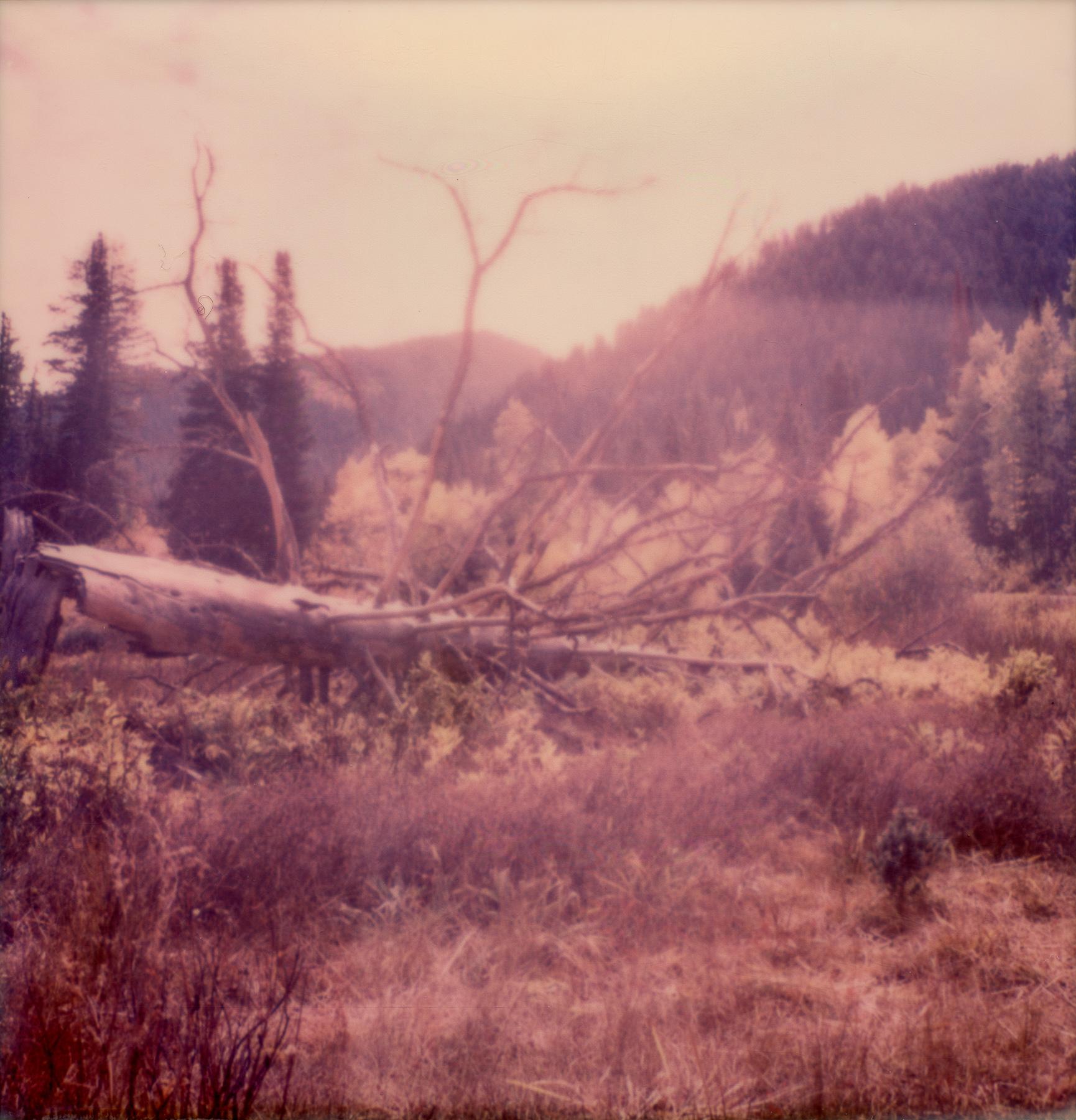 Big Cottonwood Canyon, 21st Century, Polaroid, Landscape Photography, Contempora - Pink Figurative Photograph by Kirsten Thys van den Audenaerde