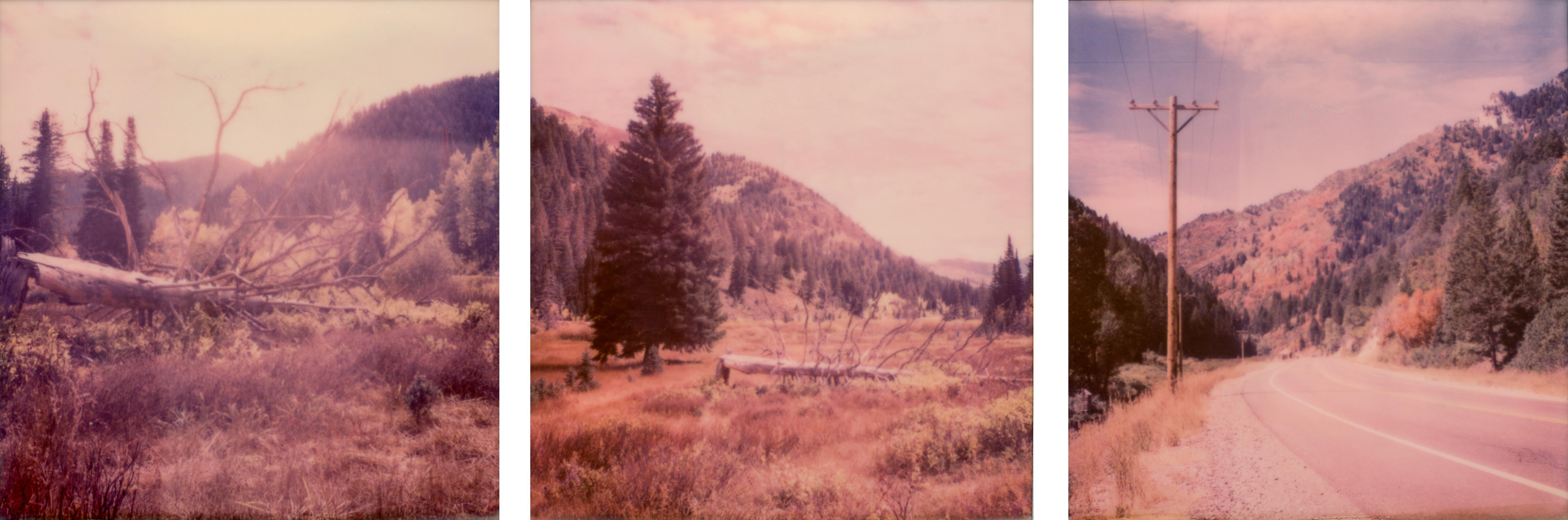 Kirsten Thys van den Audenaerde Figurative Photograph - Big Cottonwood Canyon, 21st Century, Polaroid, Landscape Photography, Contempora