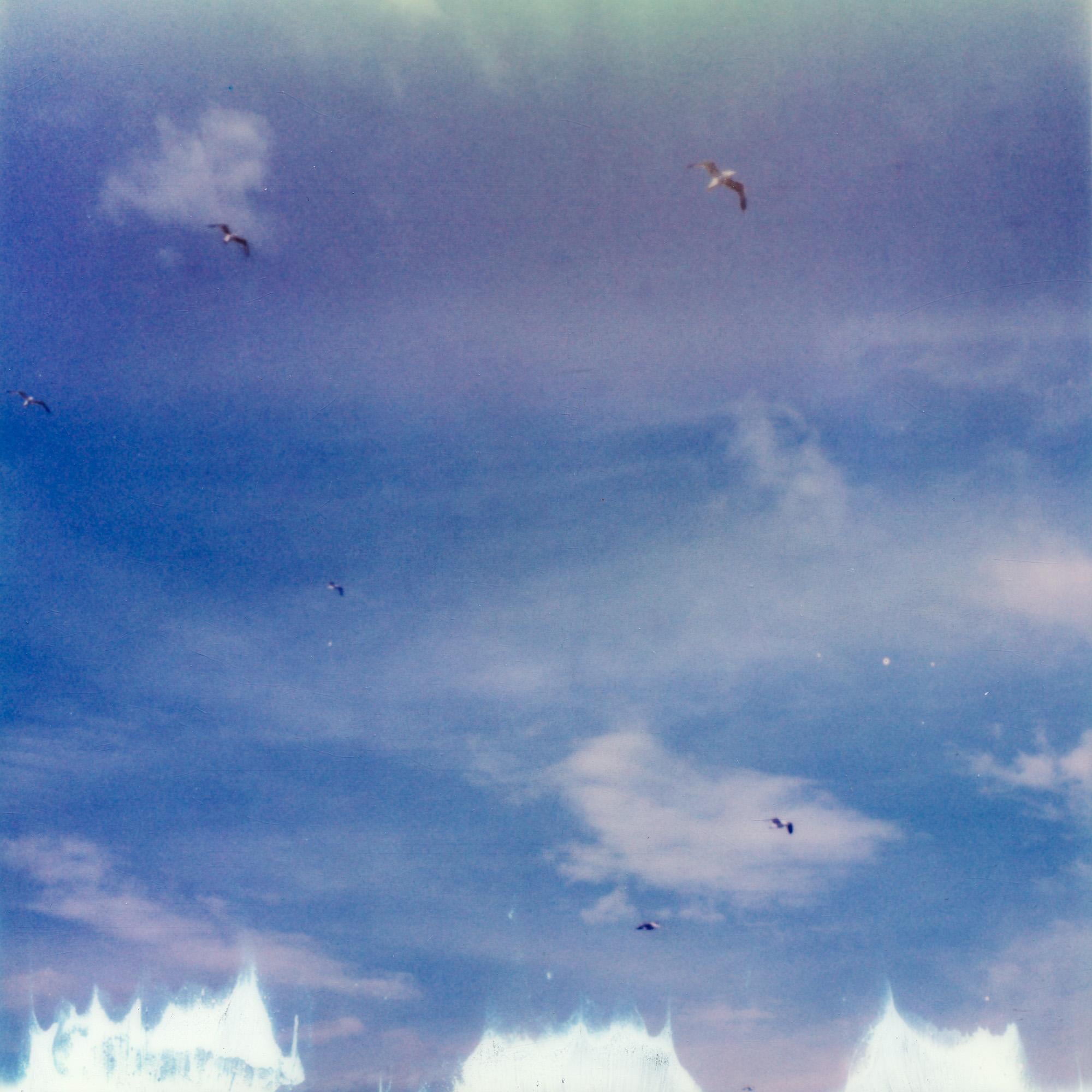 Kirsten Thys van den Audenaerde Color Photograph - Birds - 21st Century, Polaroid, Landscape Photography