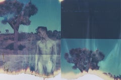 Building Blocks - Contemporary, Polaroid, Nude, 21st Century, Joshua Tree