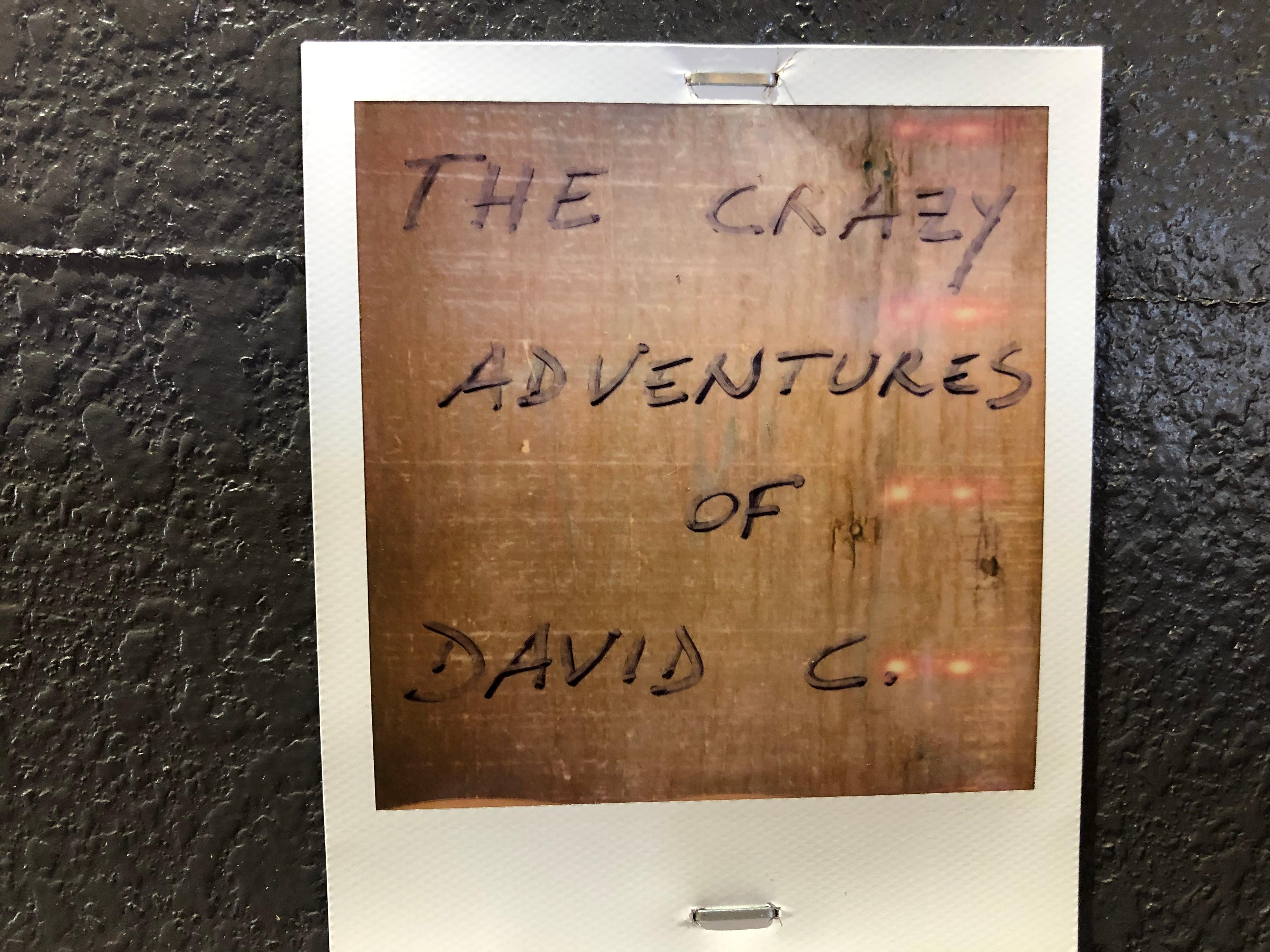 Color me Weird part of the series 'The crazy Adventures of David C.', - 2019, 

20x95cm installed, 20x20cm each, 
Edition of 7 plus 2 Artist Proofs.  
4 archival C-Prints based on the 4 Polaroids.  
Signature label and certificate. 
Artist inventory